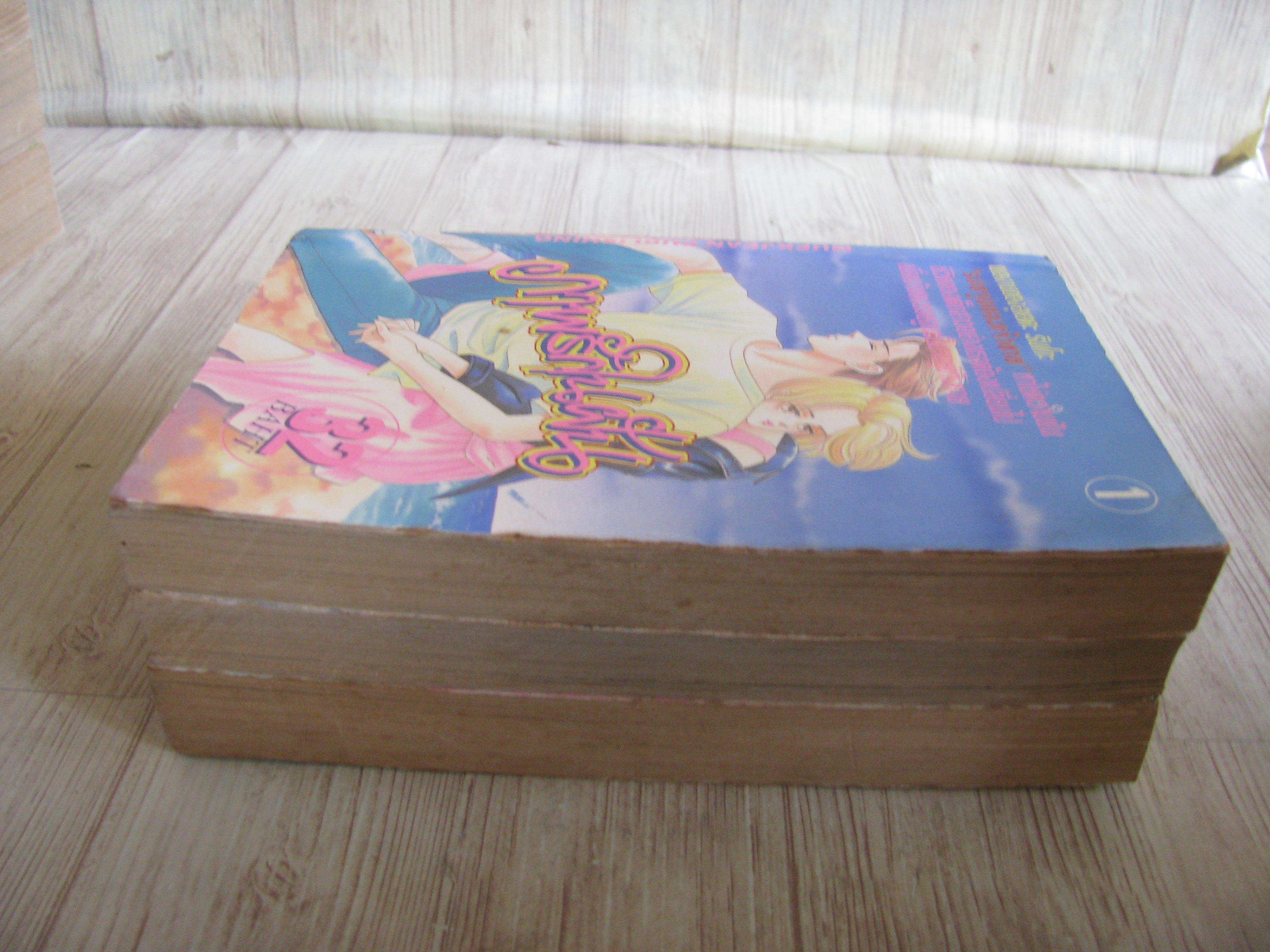 ภาพรักในฝัน ชุด เล่ม 1,3,4 (4 เล่มจบ ) (ขาดเล่ม 2)