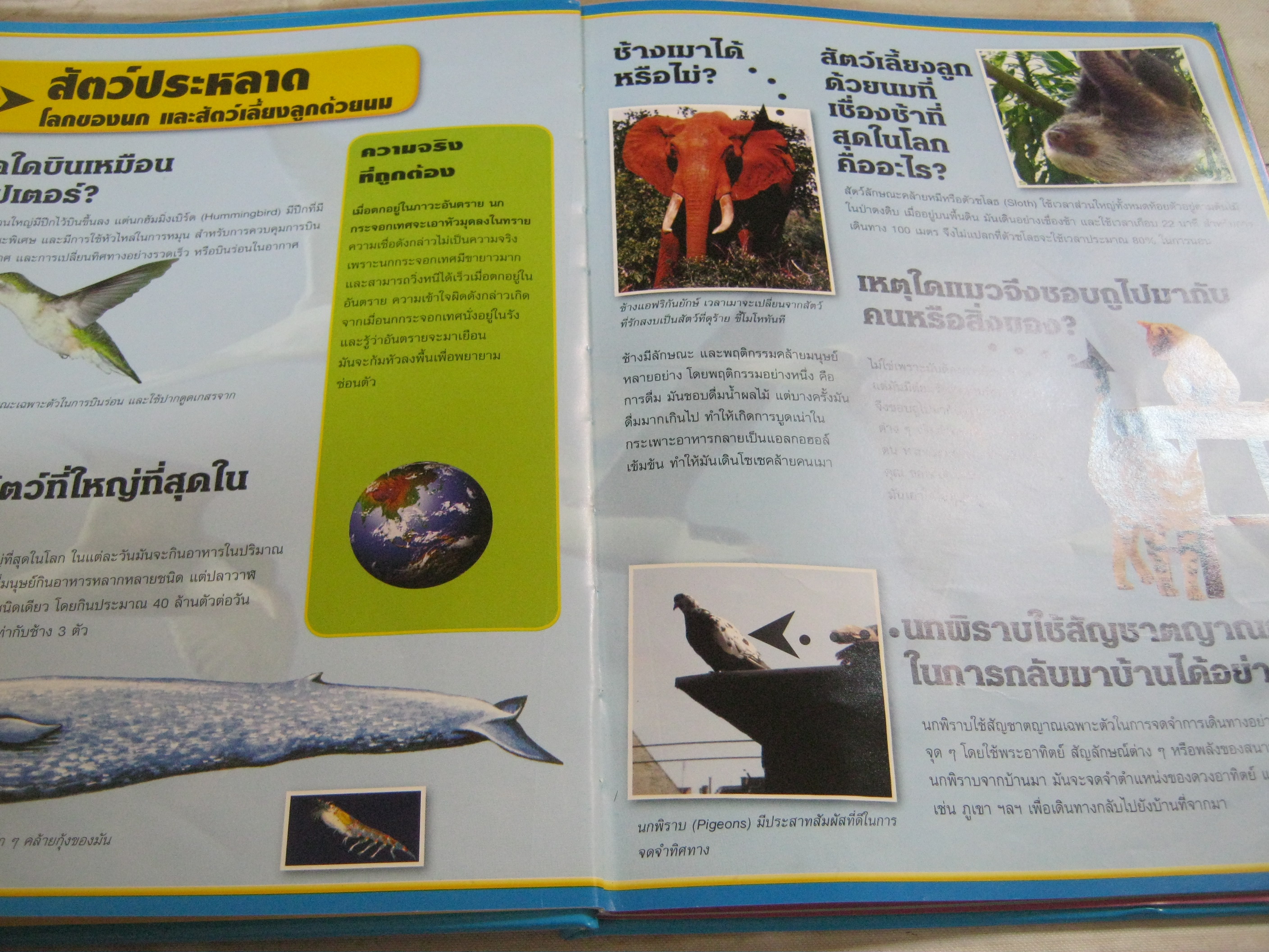 คำถามและคำตอบ เรื่องประหลาดแต่จริง มิเชล เกอร์แล็ค เขียน นันทวุฒิ ศรีมิตรานนท์ แปล