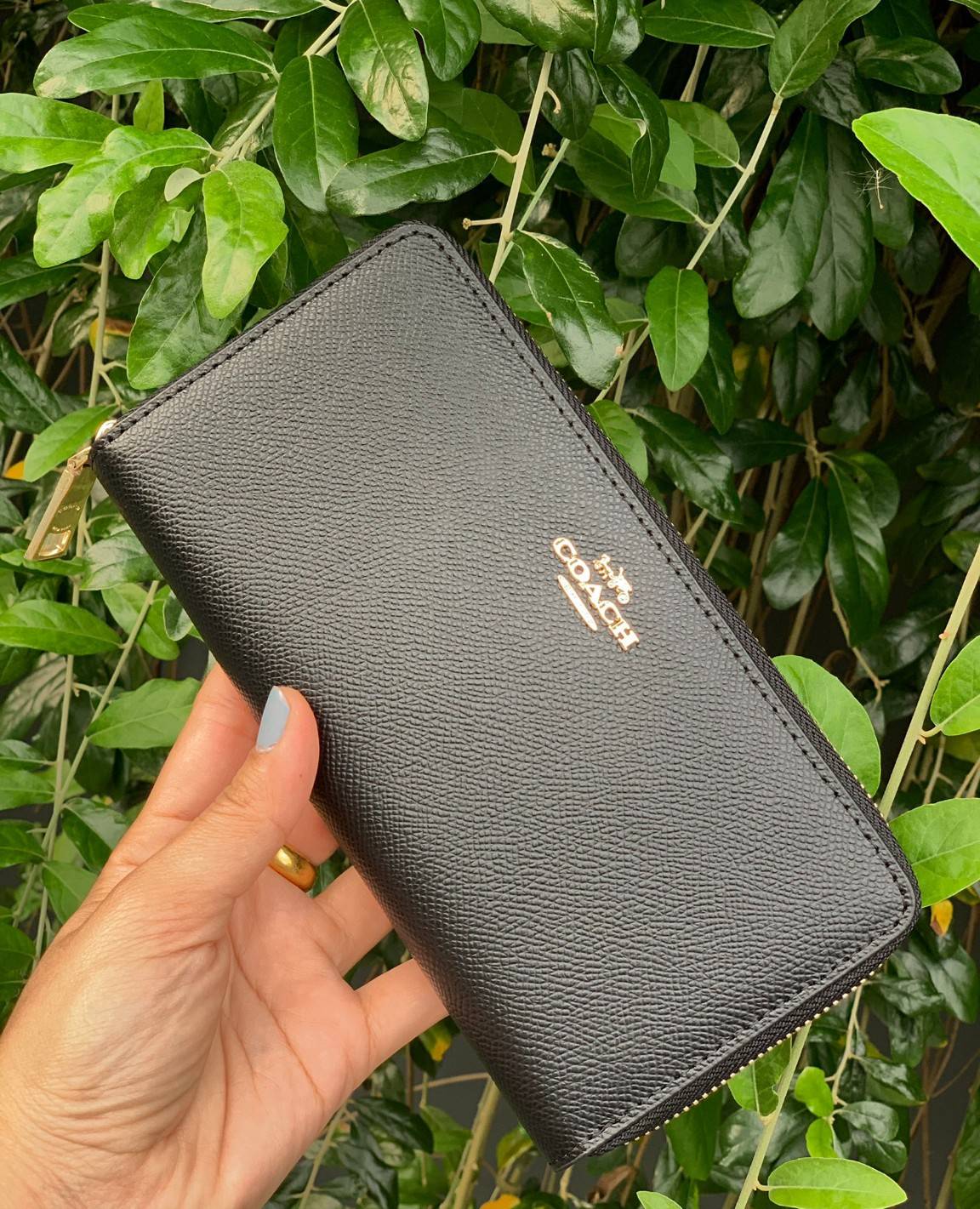 ของแท้ 💯% COACH ACCORDION ZIP WALLET ((52372)) พร้อมส่ง! กระเป๋าสตางค์ใบยาวซิปรอบ หนังแท้ลายหนังสวย