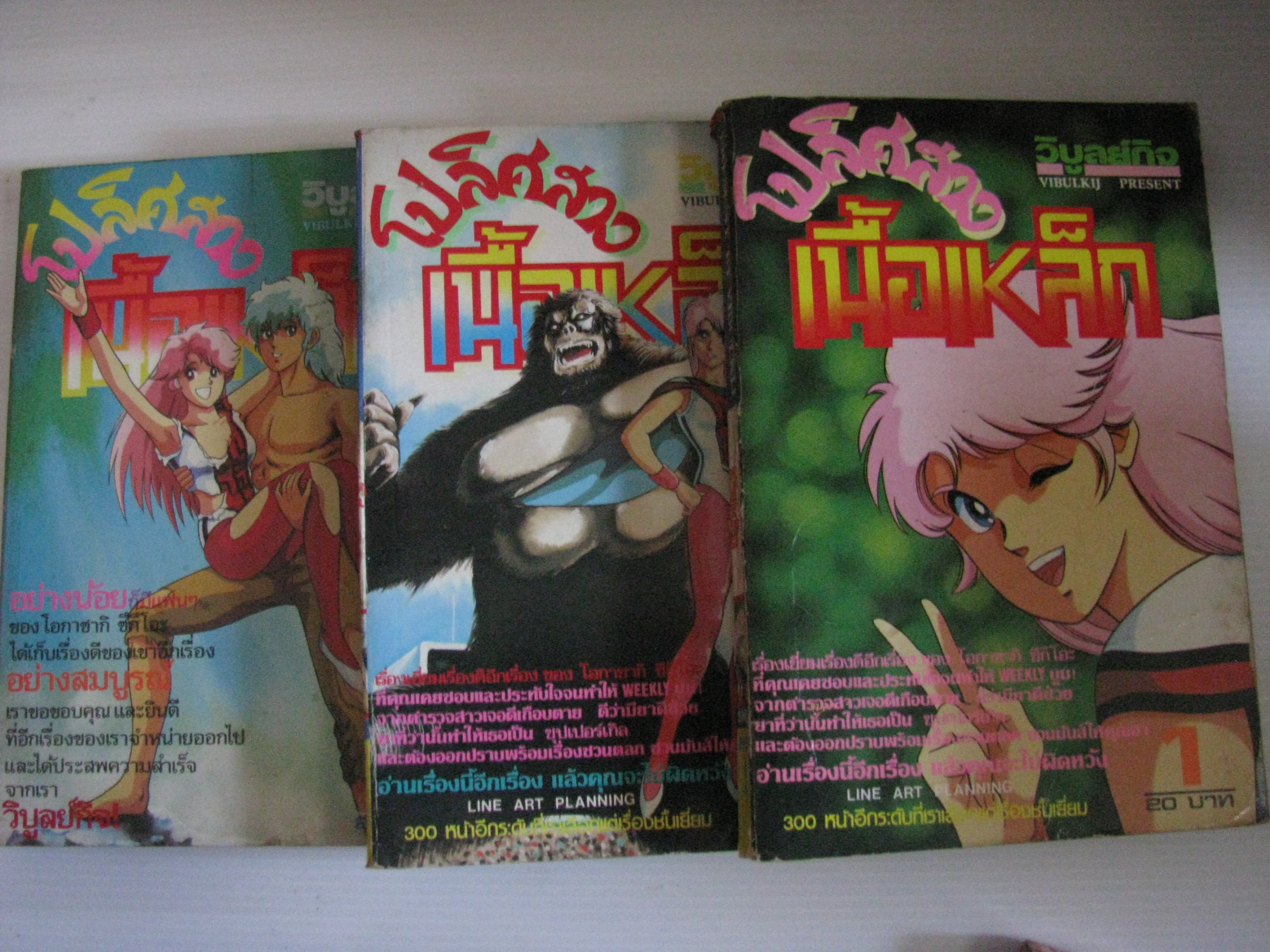 โปลิศสาวเนื้อเหล็กชุด เล่ม 1-3 ( 3 เล่มจบ) โอกาซากิ ซึกึโอะ เขียน *** สินค้าหมด***