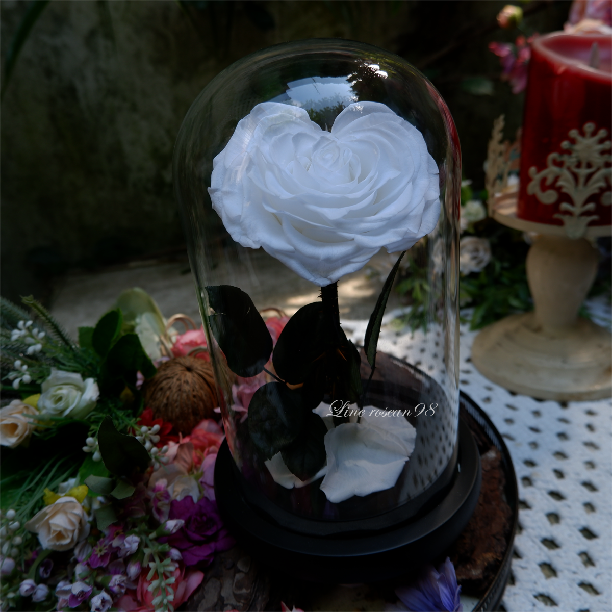 กุหลาบอมตะ กุหลาบในโหลแก้ว กุหลาบหัวใจขาว กุหลาบโฉมงามกับเจ้าชายอสูร กุหลาบbeauty and the beast