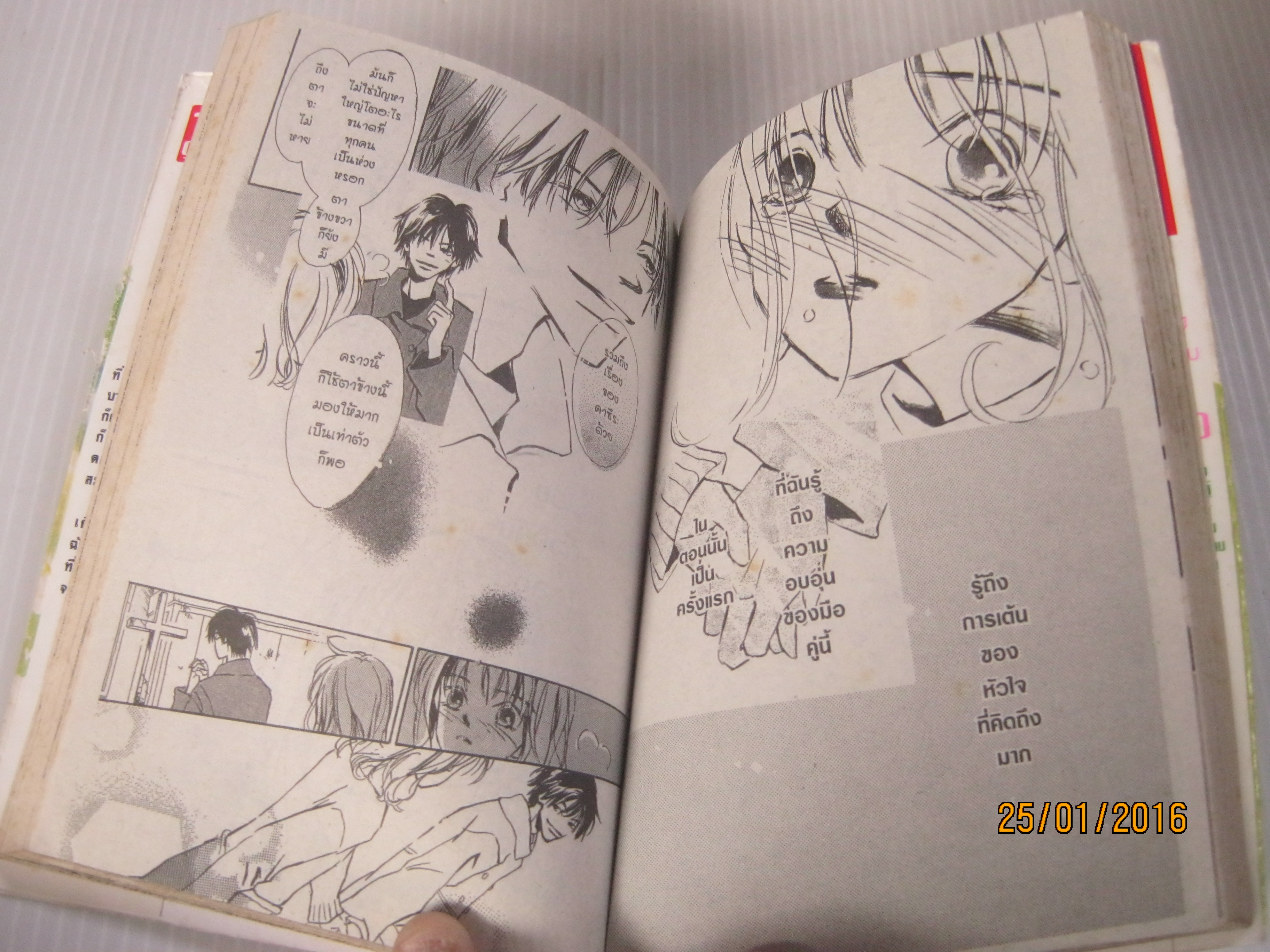 green feeling เล่มเดียวจบ Rin Saito เขียน