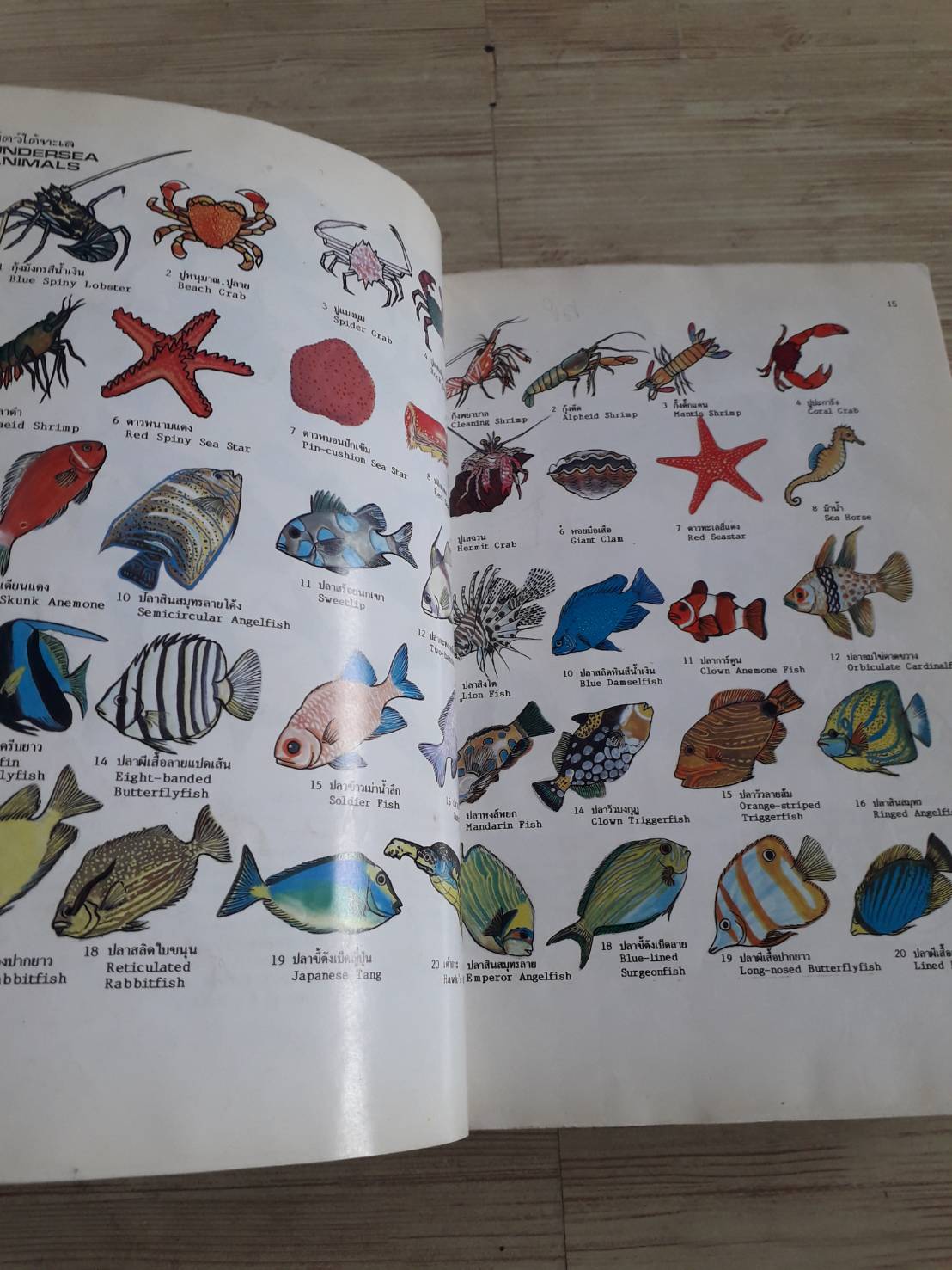 พจนานุกรมสัตว์และพืชในเมืองไทย ดร.วิทย์ เที่ยงบูรณธรรม เขียน (ปกแข็ง)***สินค้าหมด***