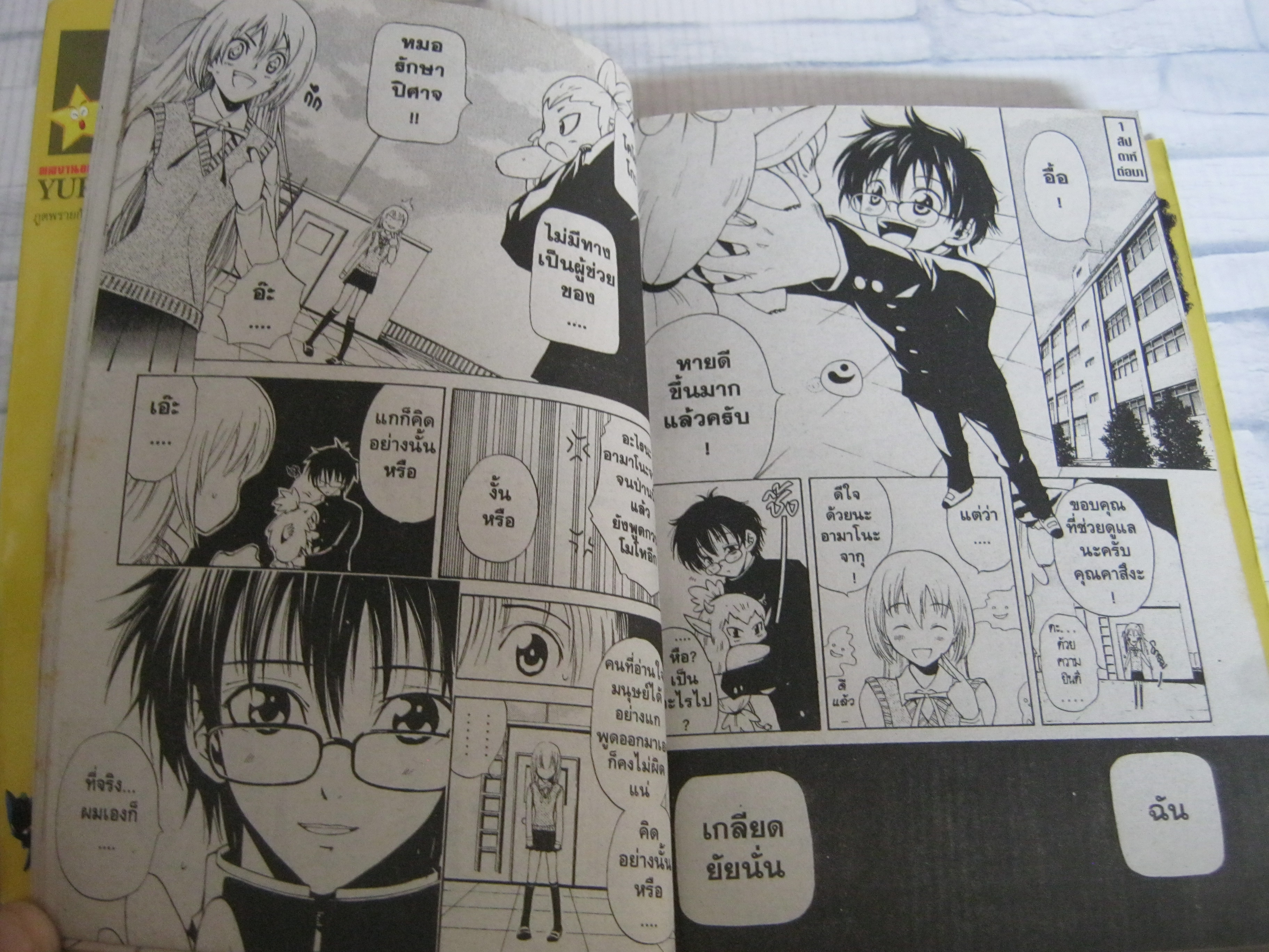 ภูตพรายกับนายหมอผี ชุด เล่ม 1-15 ( ขาดเล่ม 11 ) 15 เล่มจบ Yuki Sato เขียน