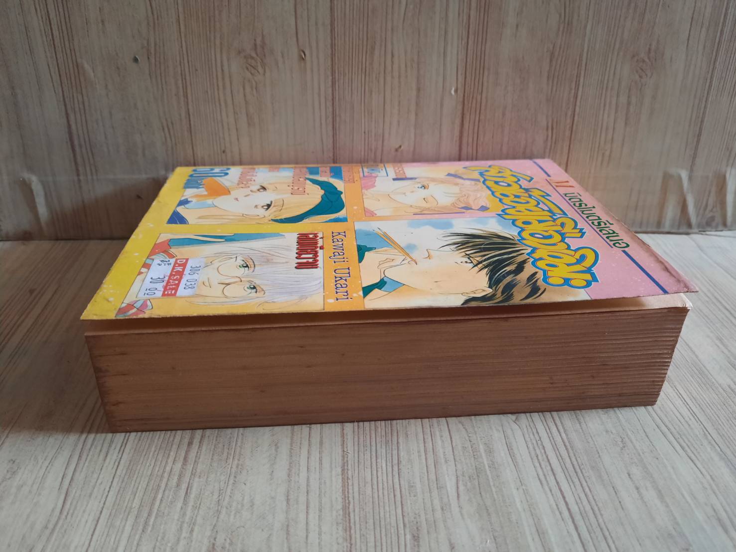 สาวนัอยเมืแงหิมะ เล่มเดัยวจบ