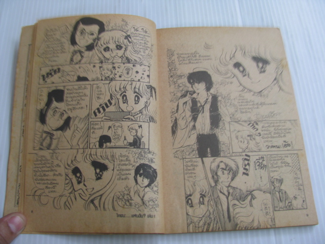 ใครนะแฟนฉัน ชุด เล่ม 1 และ เล่ม 3 (3 เล่มจบ)