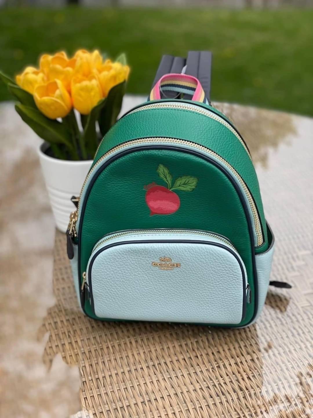 COACH Mini Court Backpack In Signature Canvas With Butterfly / With Radish C8259 C8257 🌈ต่อกันเลย สวยกันก่อน วางน้องไม่ลงเลยจริงๆค่าา😍 พร้อมส่ง! ยังไม่เข้าไทย กับกระเป๋าสะพายหลังแบบมีหูหิ้วในตัว บอกก่อนเลยว่าหนังของน้องทั้งนิ่ม ทั้งสวย อย่