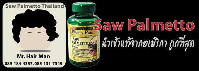 Saw Palmetto Thailand