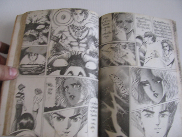 มังกรซ่อนลาย ภาค นางหมาป่า เล่มเดียวจบ โนริโยชิ อิโนอุเอะ เขียน