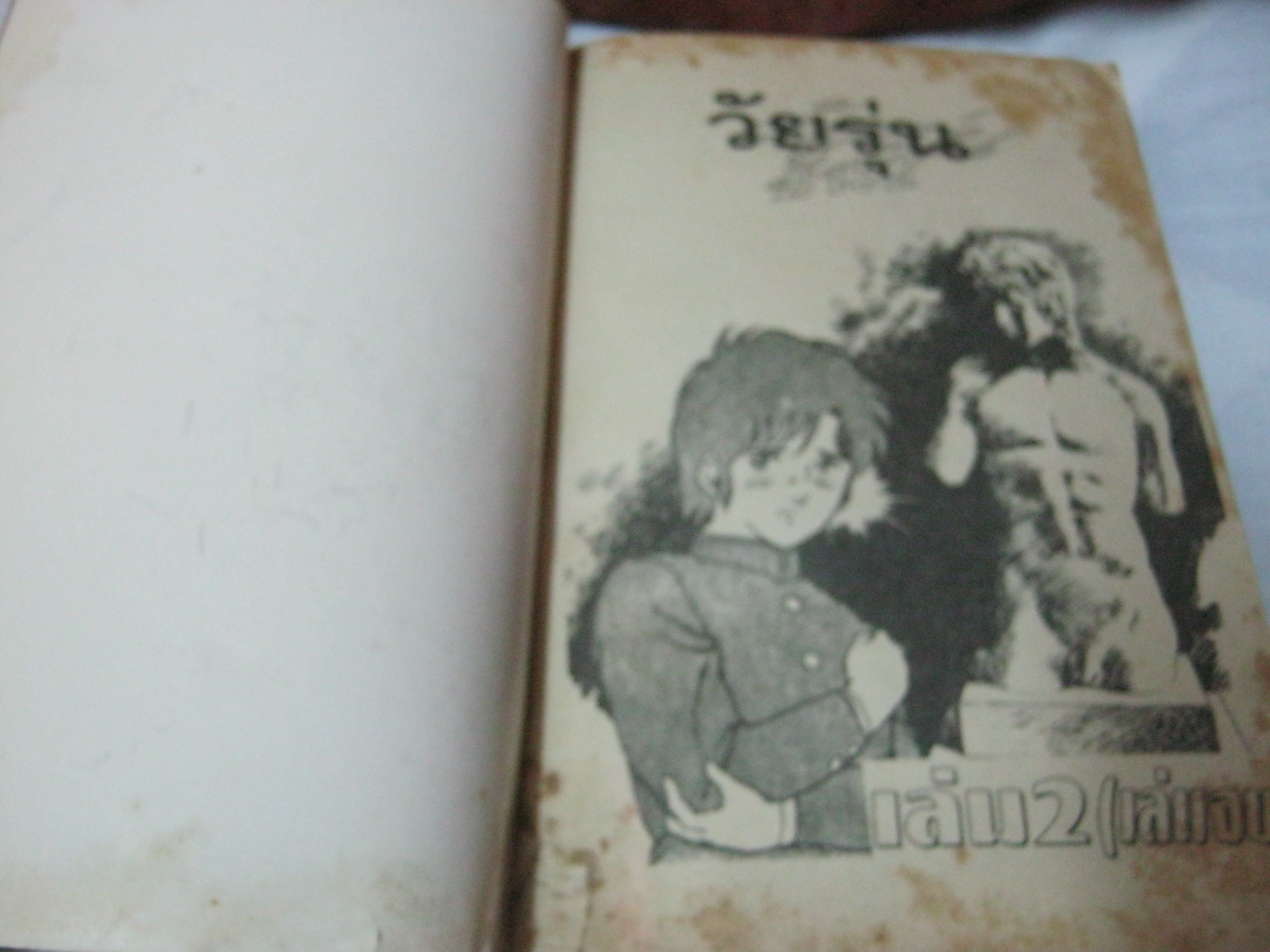 วัยรุ่นขั้น 2 ครบชุด 2 เล่มจบ ( คนเขียนหน้าปกตนละคนกับคนเขียนในเล่ม )