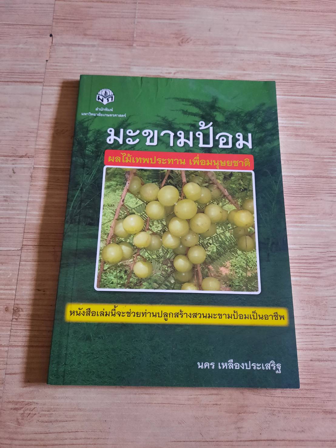 มะขามป้อม ผลไม้เทพประทาน เพื่อมนุษยชาติ โดย นคร เหลืองประเสริฐ***สินค้าหมด***
