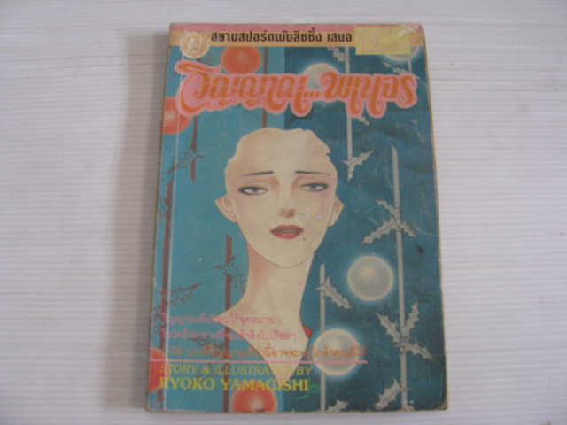 วิญญาณ...พเนจร เล่มเดียวจบ RYOKO YAMAGISHI เขียน***สินค้าหมด***