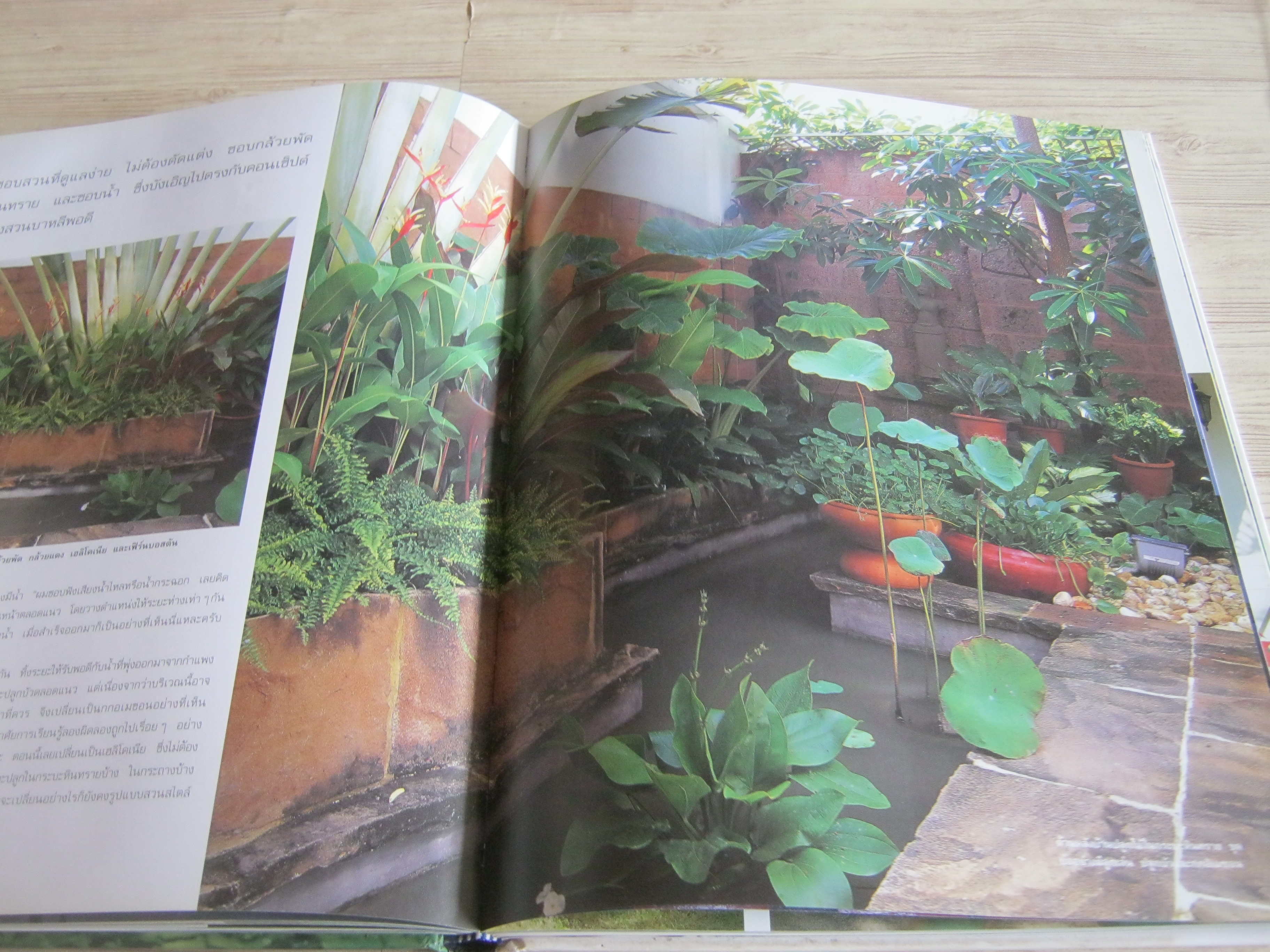 สวนในบ้าน เล่ม 8 ไอเดียในสวน โดย กองบรรณาธิการนิตยสารบ้านและสวน