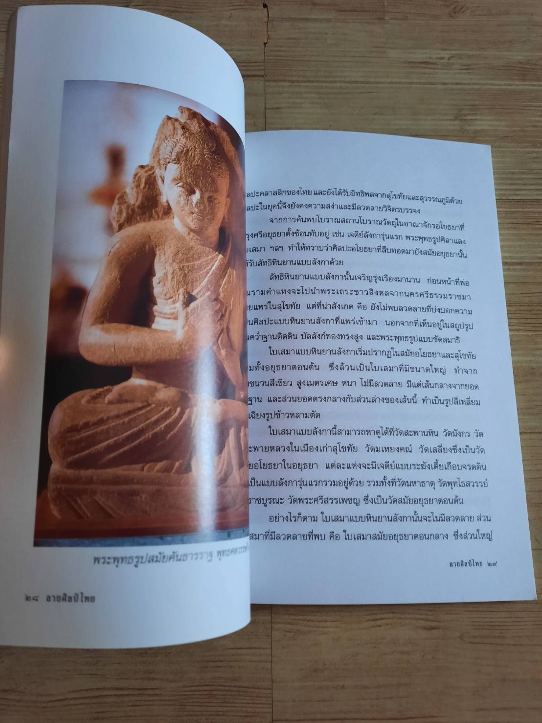 ลายศิลป์ไทย นงค์นุช ไพรพิบูลยกิจ เขียน