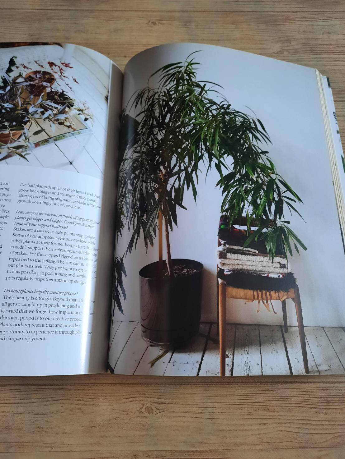 Indoor Green Living with Plants By Mr.Kitly's Bree Claffey Photography By Lauren Barnford