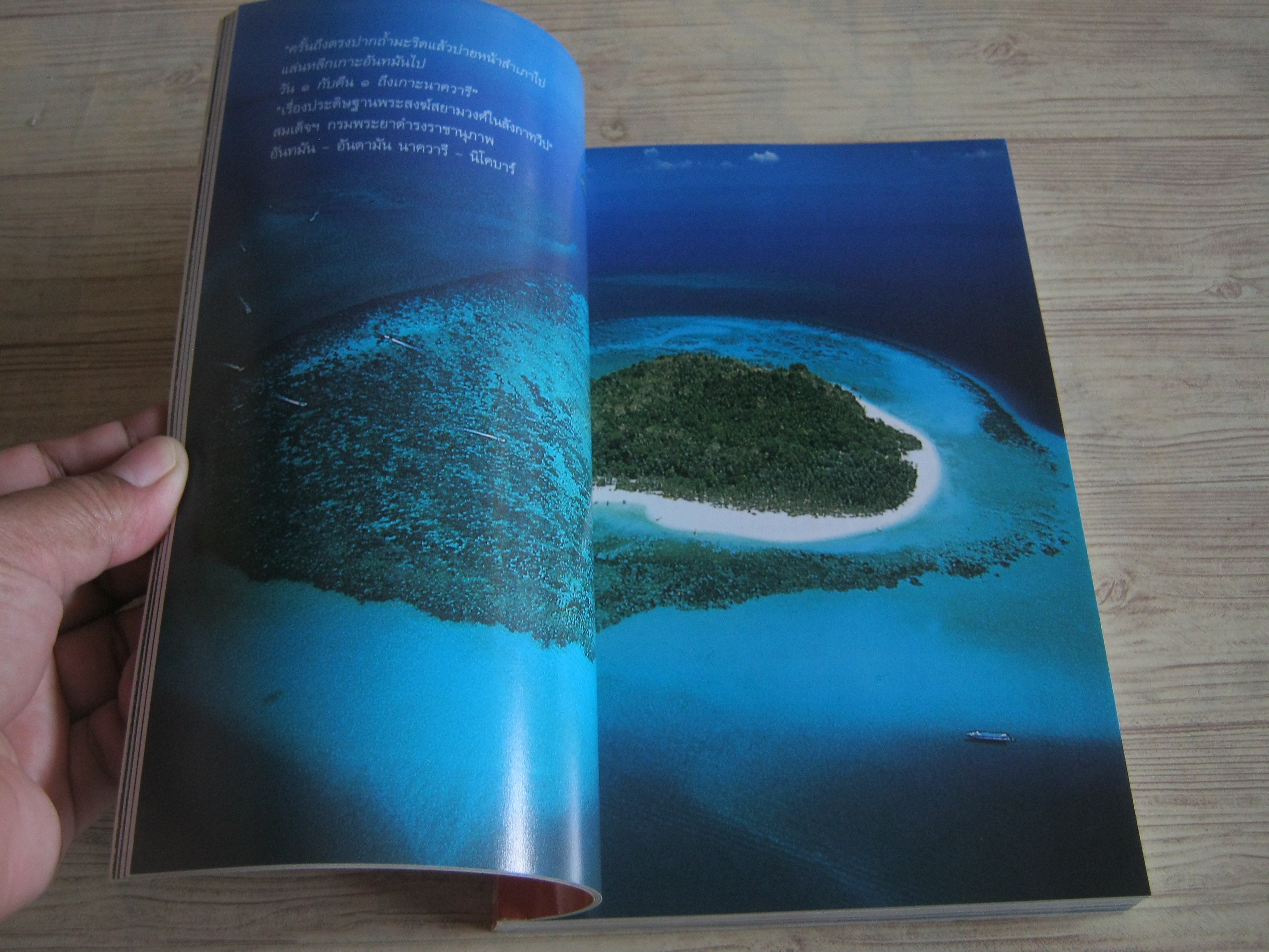 คู่มืออันดามัน ปะการัง พังงา สึนามิ โดย ธรณ์ ธำรงนาวาสวัสดิ์และศักดิ์อนันต์ ปลาทอง