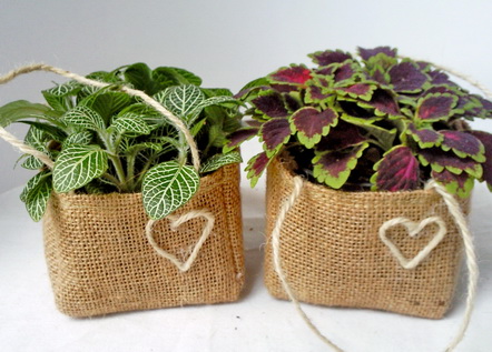 ต้นไม้ของชำร่วยในถุงผ้ากระสอบรูปหัวใจ