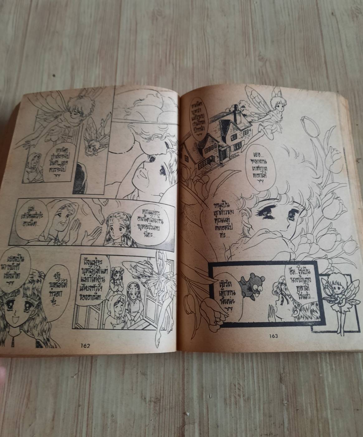 เงือกสาวไข่มุก เล่มเดียวจบ***สินค้าหมด***