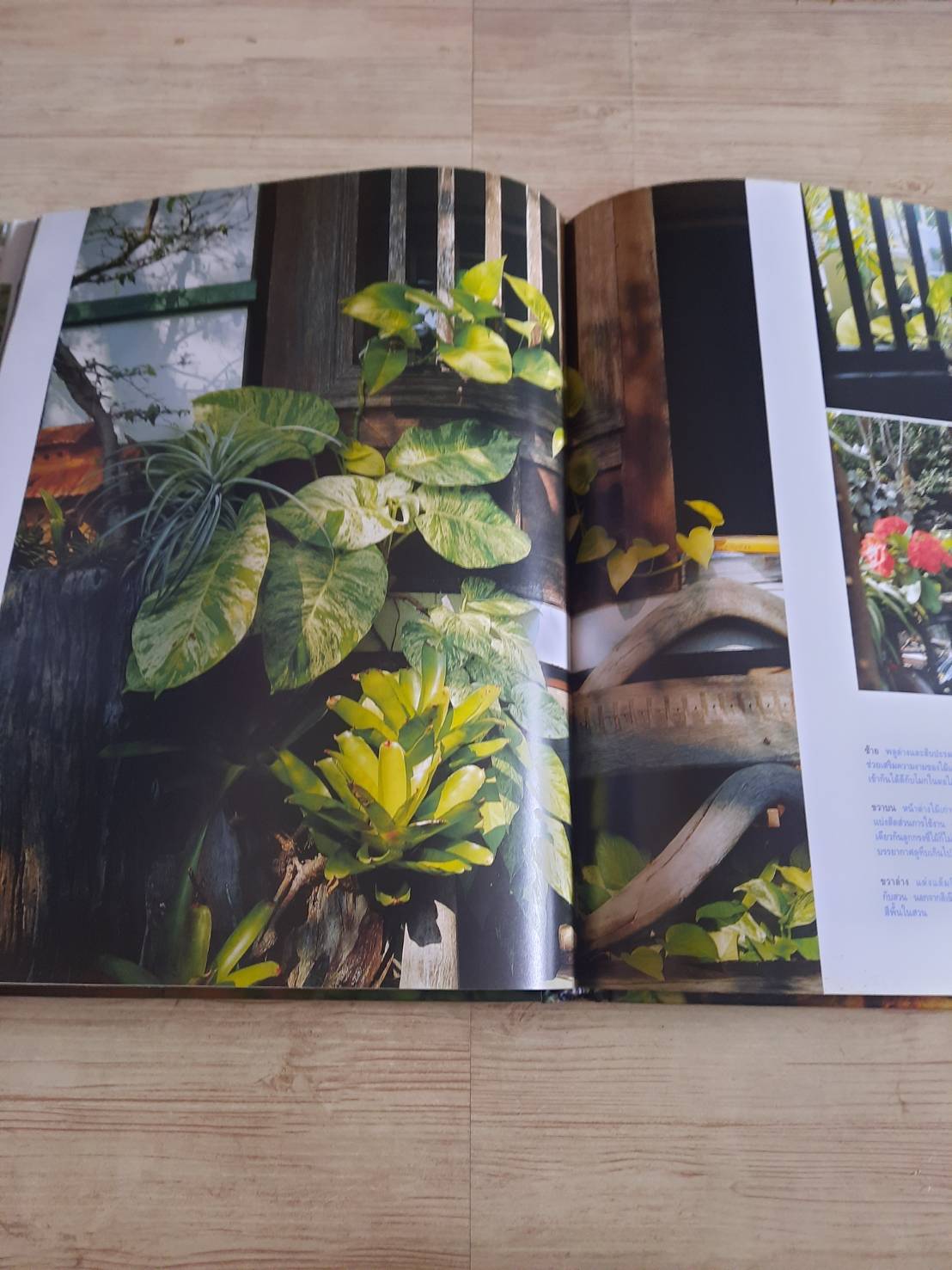 สวนในบ้าน เล่ม 12 สวนขนาดเล็ก พิมพ์ครั้งที่ 7 โดย กองบรรณาธิการสำนักพิมพ์บ้านและสวน