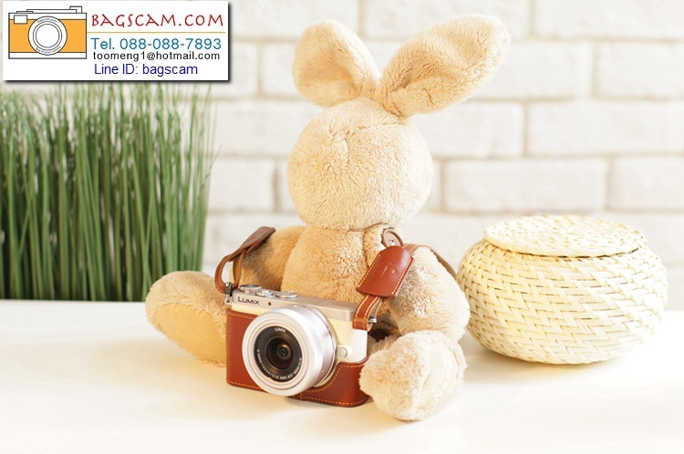 เคสกล้อง panasonic GM1