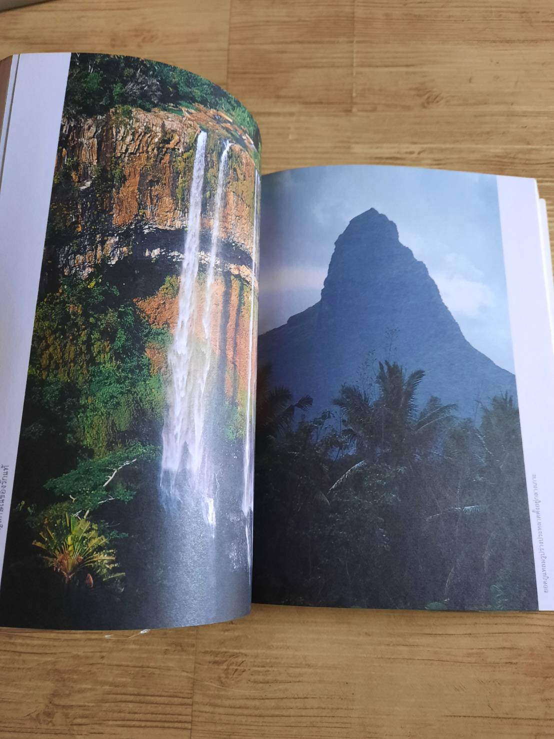 เที่ยวนอกแผนเที่ยว (A Different Route) อัลฟาและโรมิโอ เขียน