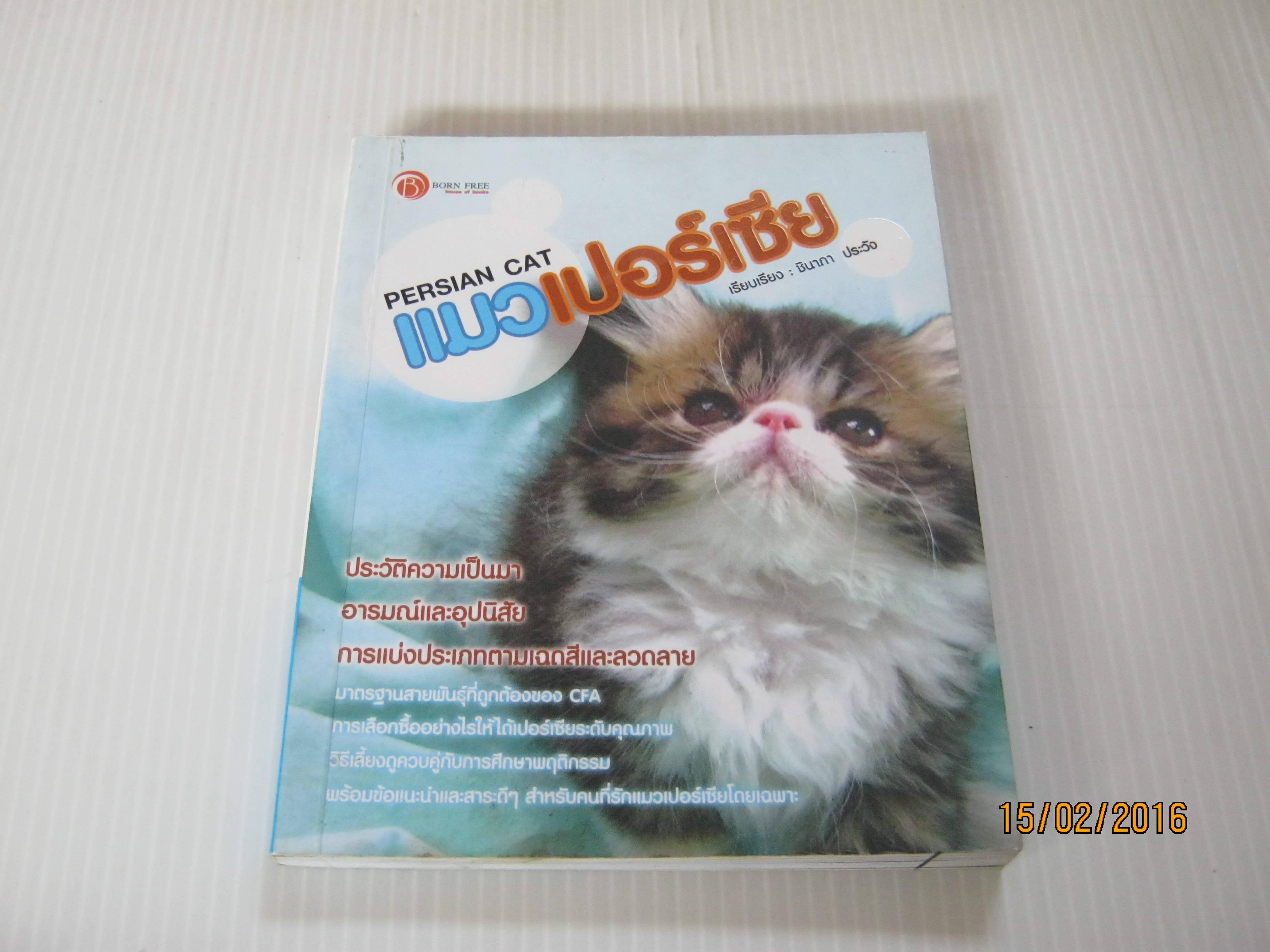 แมวเปอร์เซีย (Persian Cat) ชินาภา ประวัง เรียบเรียง***สินค้าหมด***