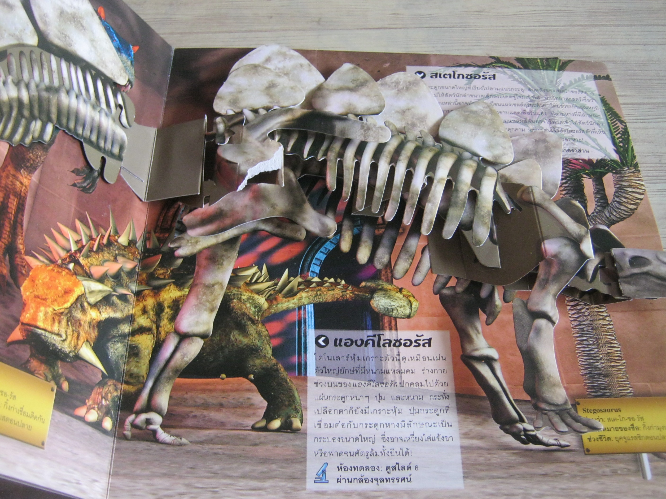 เปิดพิพิธภัณฑ์ไดโนเสาร์ ดร.เจน กรีน เขียน กรกฎ วสันตพร แปล