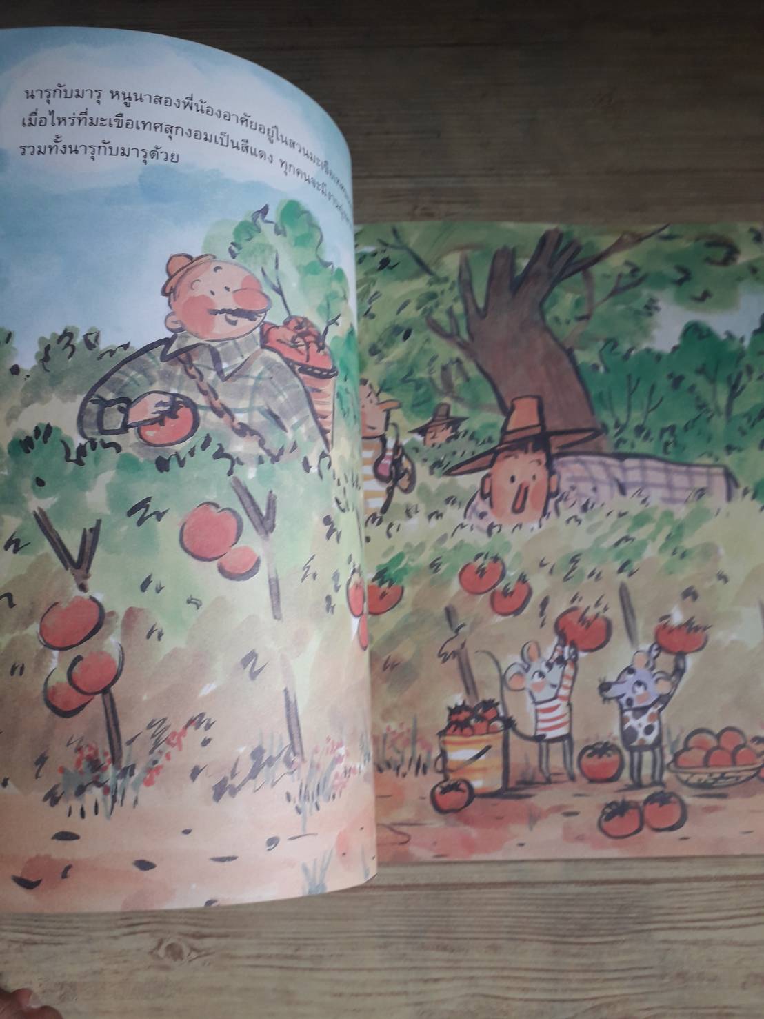 หนังสือจุดประกายคิด ชุด รู้คณิตคิดเป็น อัตราส่วนแข่งน้ำมะเขือเทศ คิม ฮโย จุง เรื่อง คิม ซู ฮยอน ภาพ ปิยภัค คีตอักษร แปล