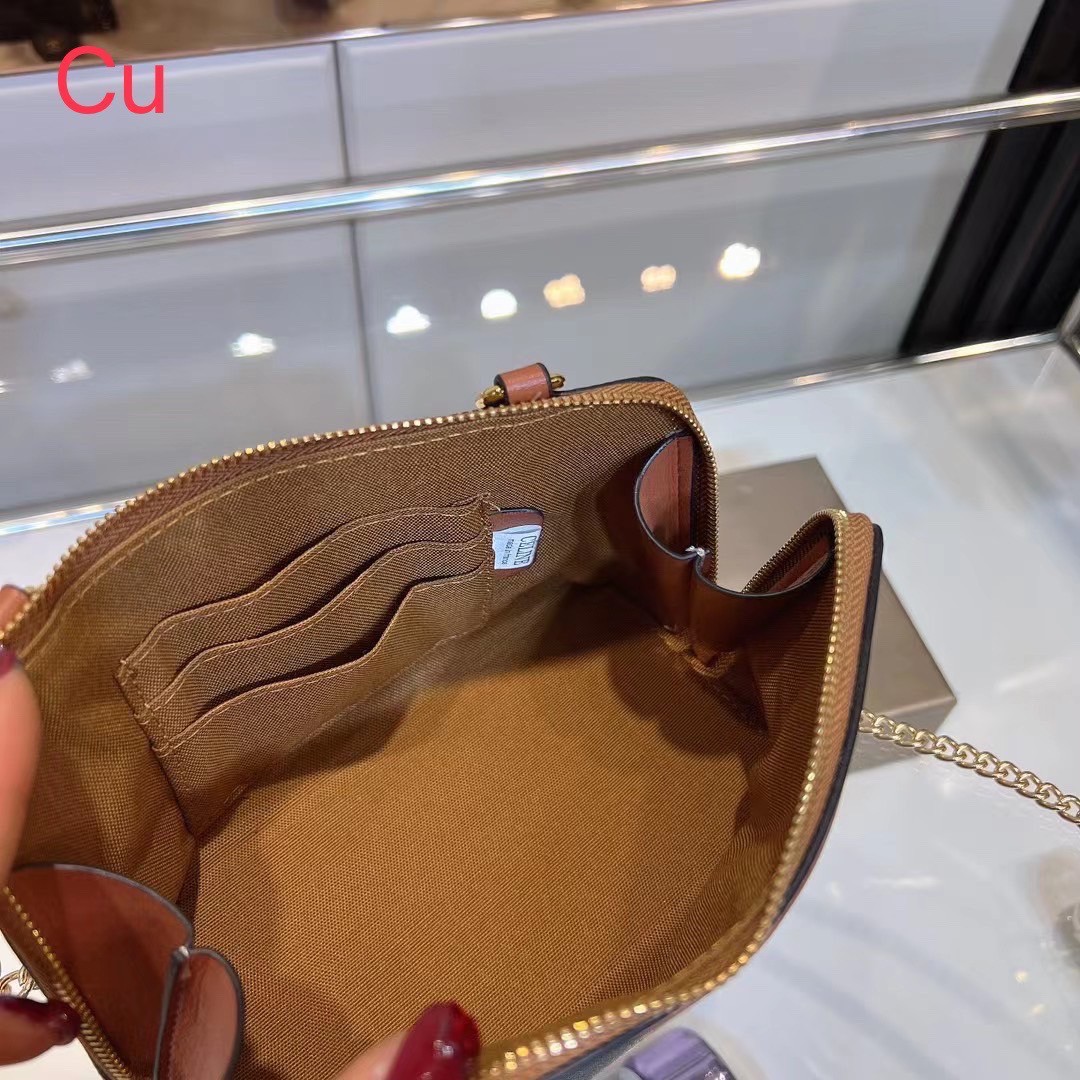 CELINE CLUTCH WITH CHAIN IN TRIOMPHE CANVAS AND LAMBSKIN / CELINE POUCH กระเป๋าสะพายกึ่งคลัทช์ มินิไซส์ เอาใจสาวๆสายสะดวก!! พกพาง่าย สะพายกำลังสวย วัสดุหนังแคนวาส ดีไซน์ใหม่