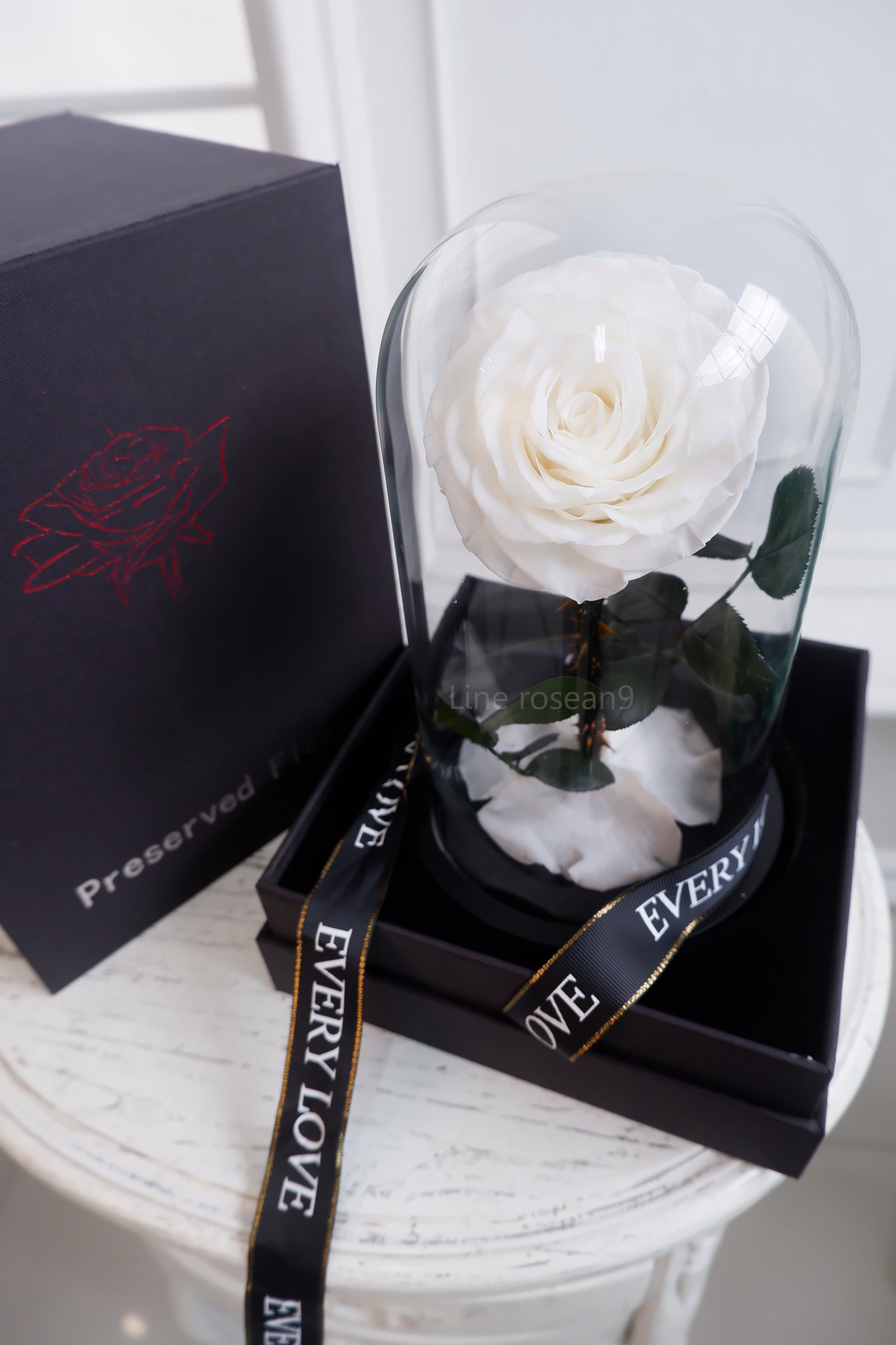 กุหลาบอมตะ กุหลาบในโหลแก้ว กุหลาบสีขาว preservedrose กุหลาบbeauty and the beast