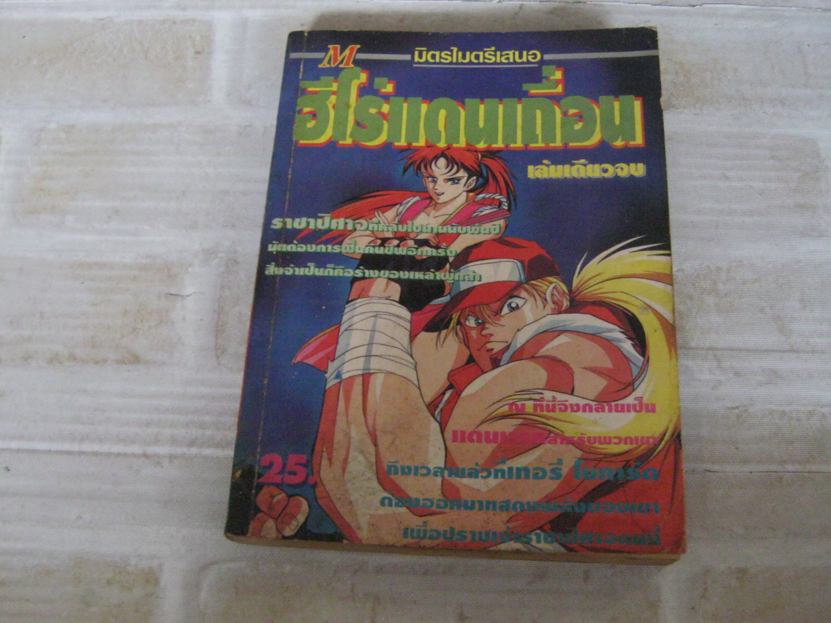 ฮีโร่แดนเถื่อน เล่มเดียวจบ***สินค้าหมด***
