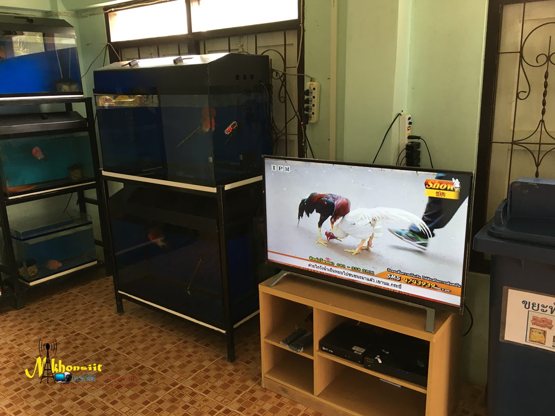 ชุดจานดาวเทียม IPM HD Pro KU-Band 70 ซม. พร้อมติดตั้ง