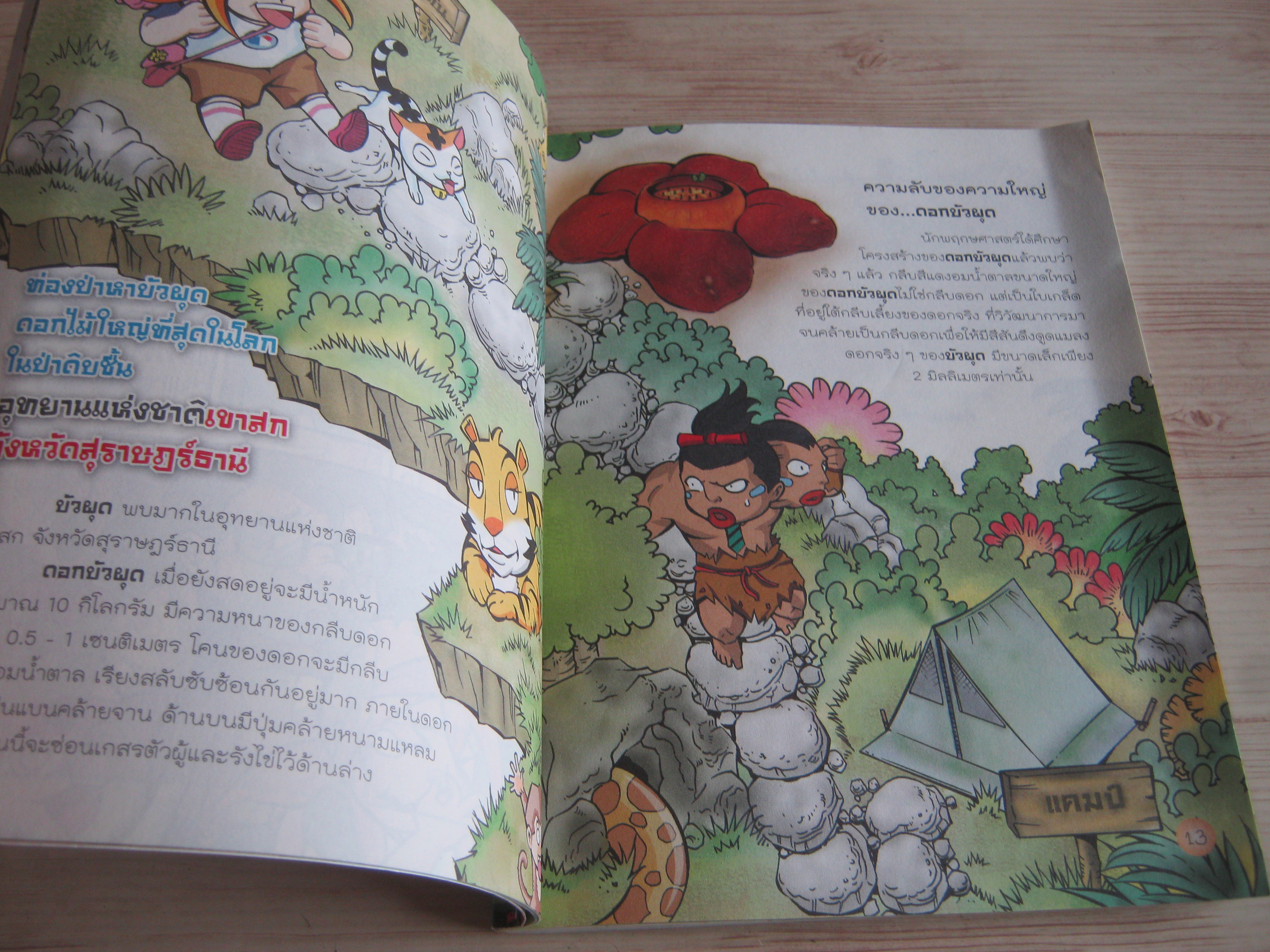 คู่มือเรียนรู้ 100 แหล่งวิทย์นอกห้องเรียน ตามหาต้นไม้มหัศจรรย์ ฤทัย จงสฤษดิ์ เขียน