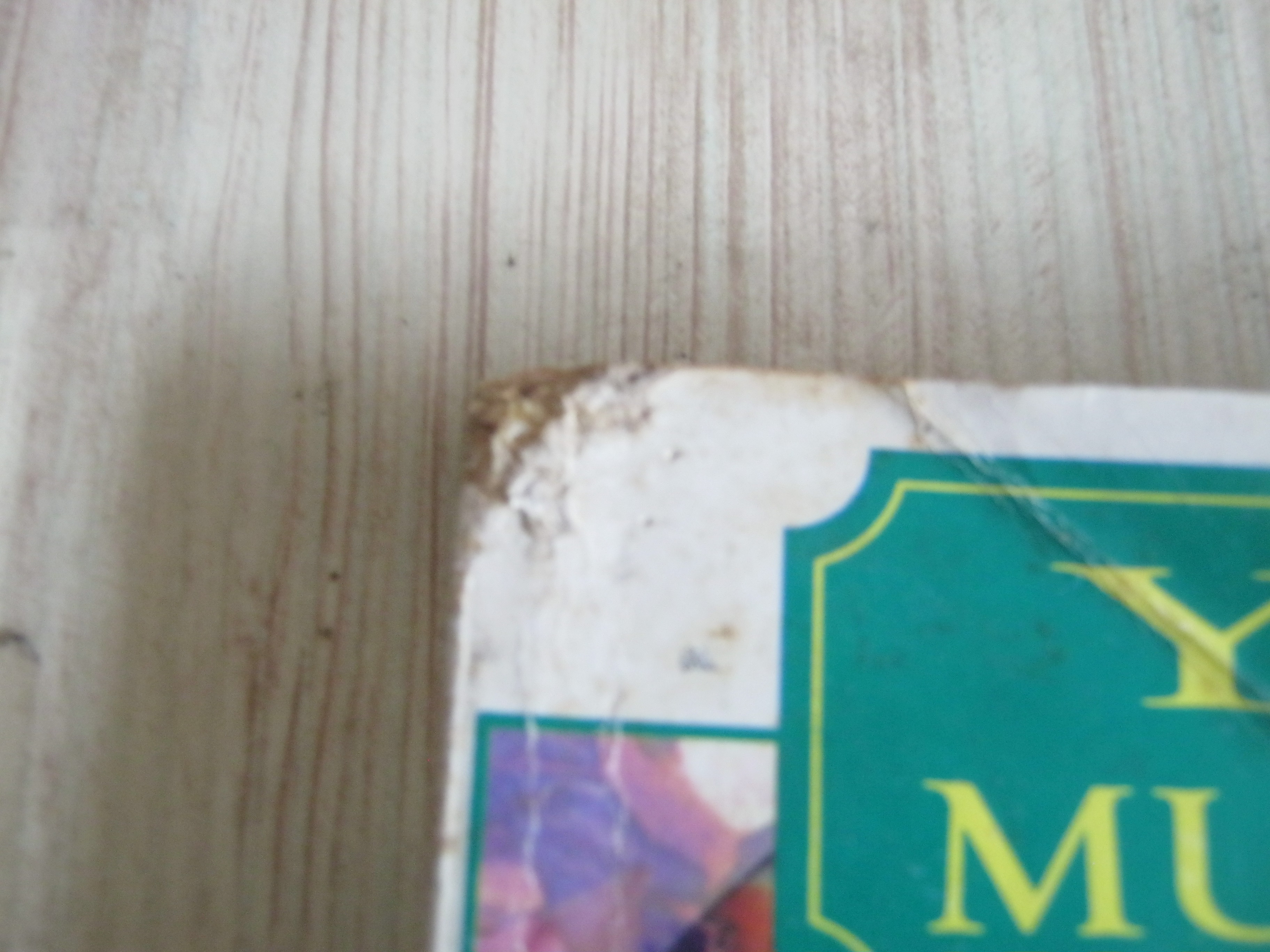 YUI MUSEUM จบในฉบับ