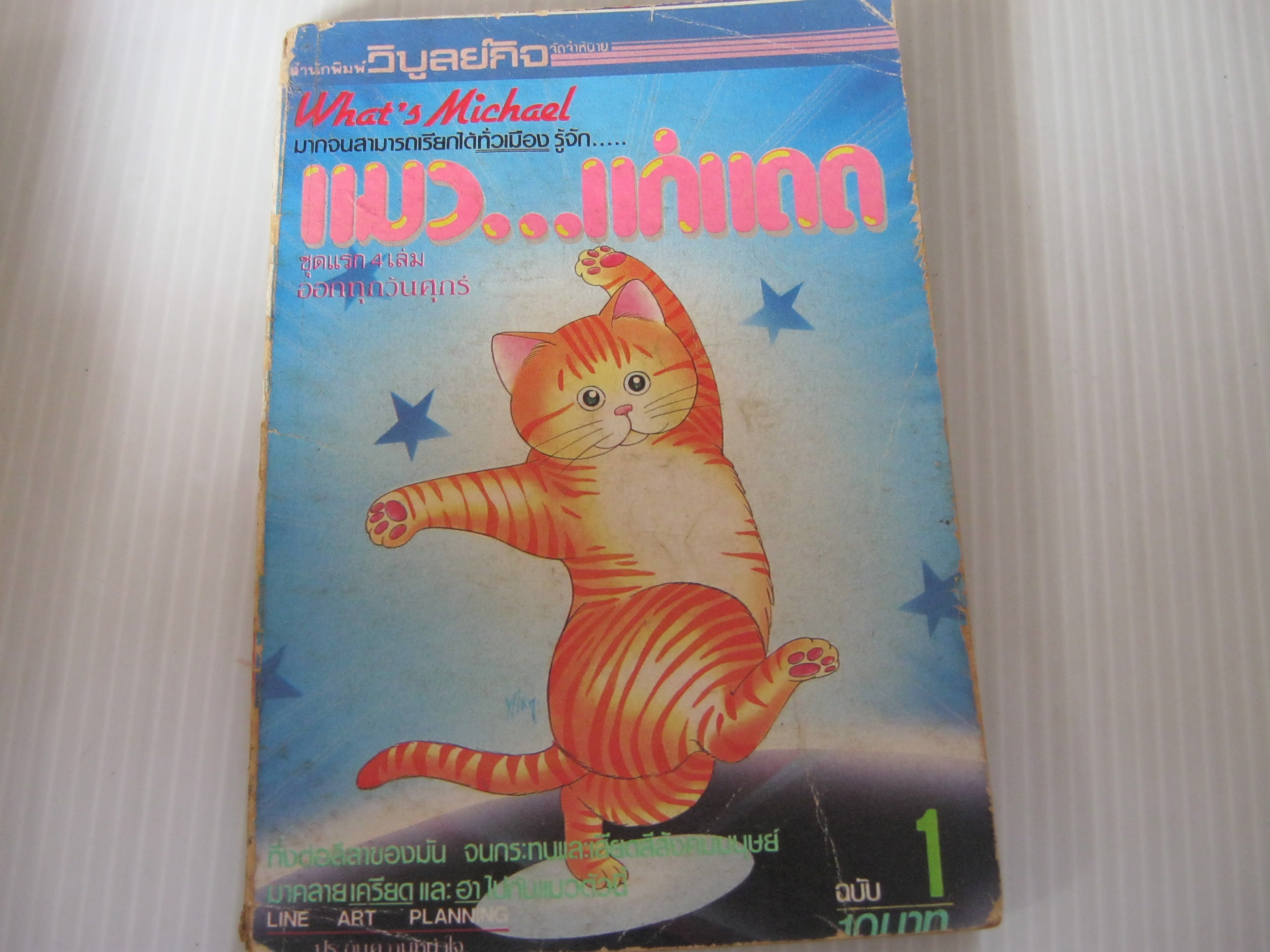 แมวแก่แดด เล่ม 1