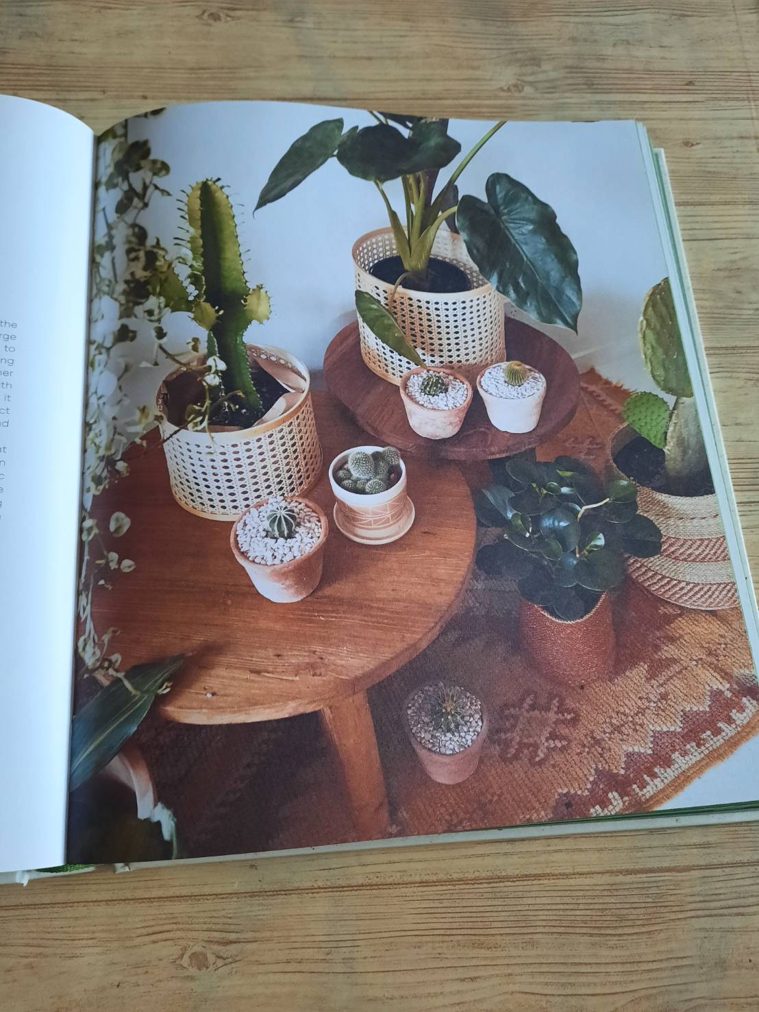 The Leaf Supply Guide to Greating Your Indoor Jungle By Lauren Comilleri + Sophia Kaplan (ปกแข็ง)