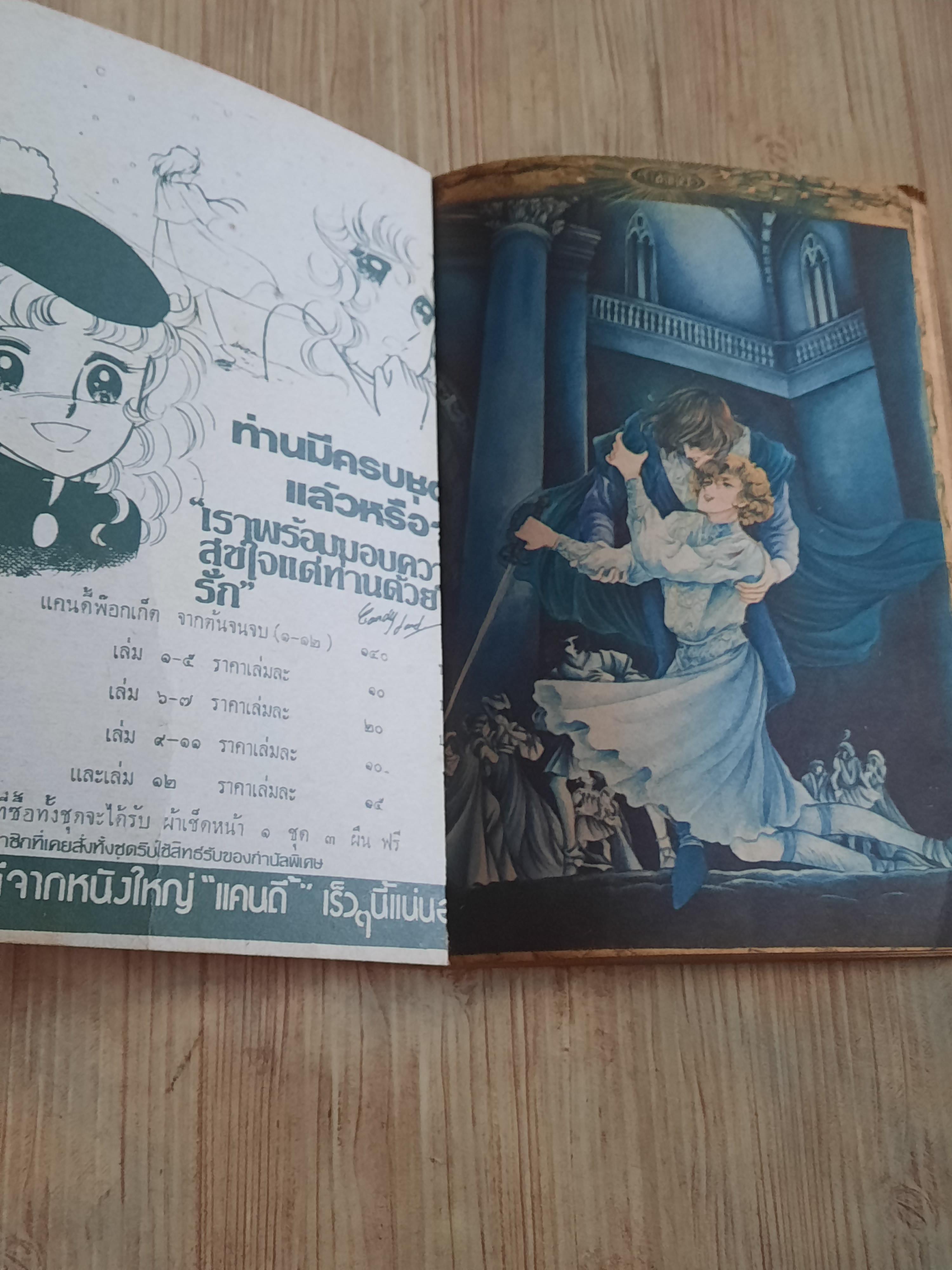 ตกหลุมรัก เล่มเดียวจบ***สินค้าหมด***
