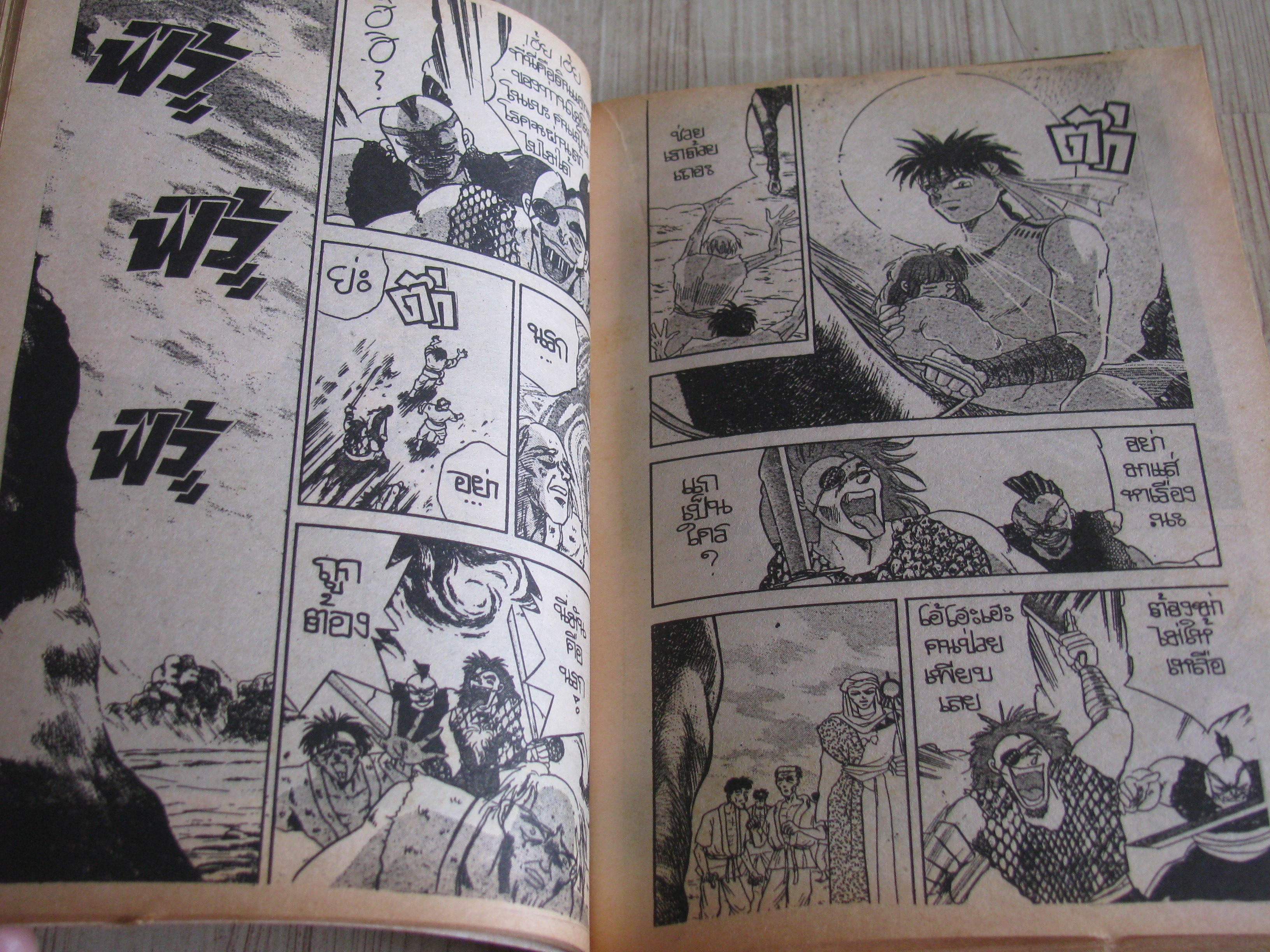 นักรบแผ่นดินเดิอด เล่มเดียวจบ Saito Ayumi เขียน