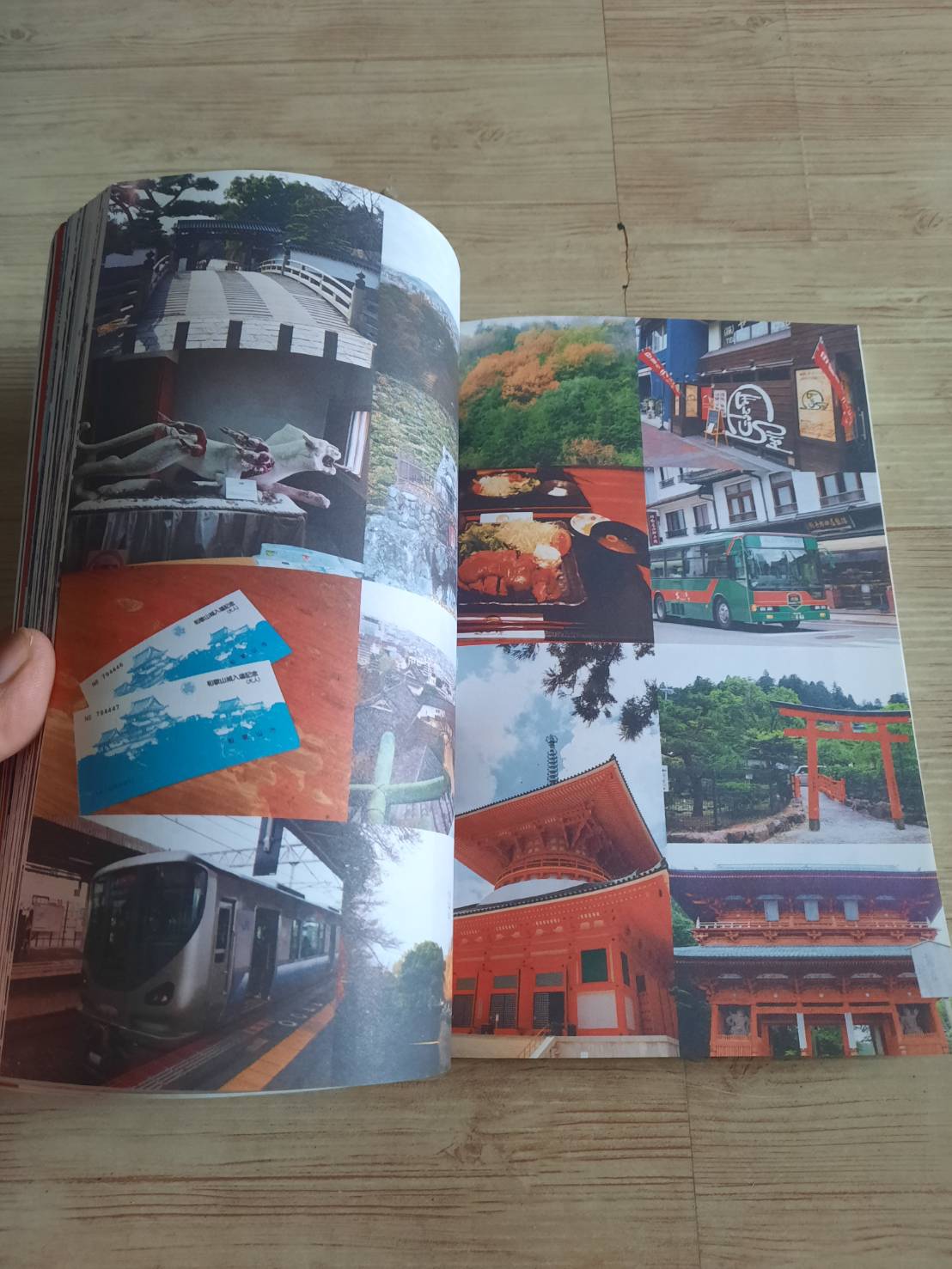 เที่ยวญี่ปุ่นไม่ซ้ำใคร เที่ยวญี่ปุ่นดอทคอม เรื่องและภาพ