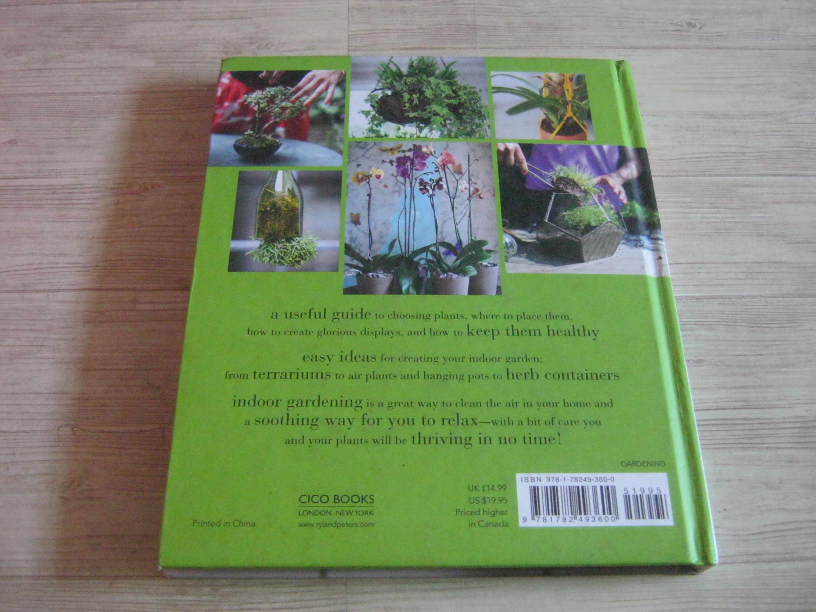 House Plants By Isabelle Palmer