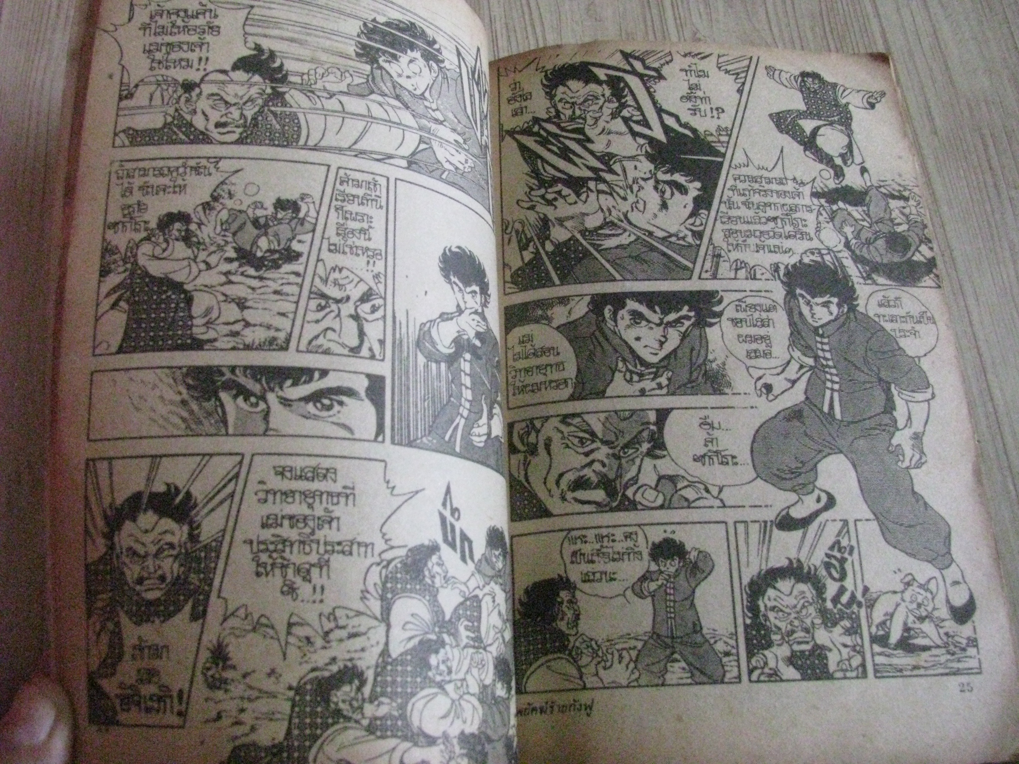 พยัคฆ์ร้ายกังฟู เล่ม 5 เล่มจบ