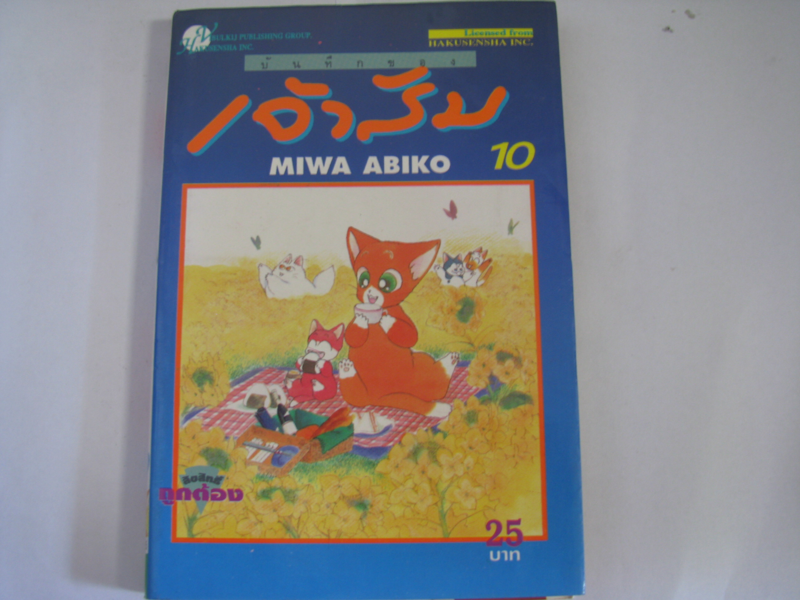 บันทึกของเจ้าส้ม เล่ม 10***สินค้าหมด***