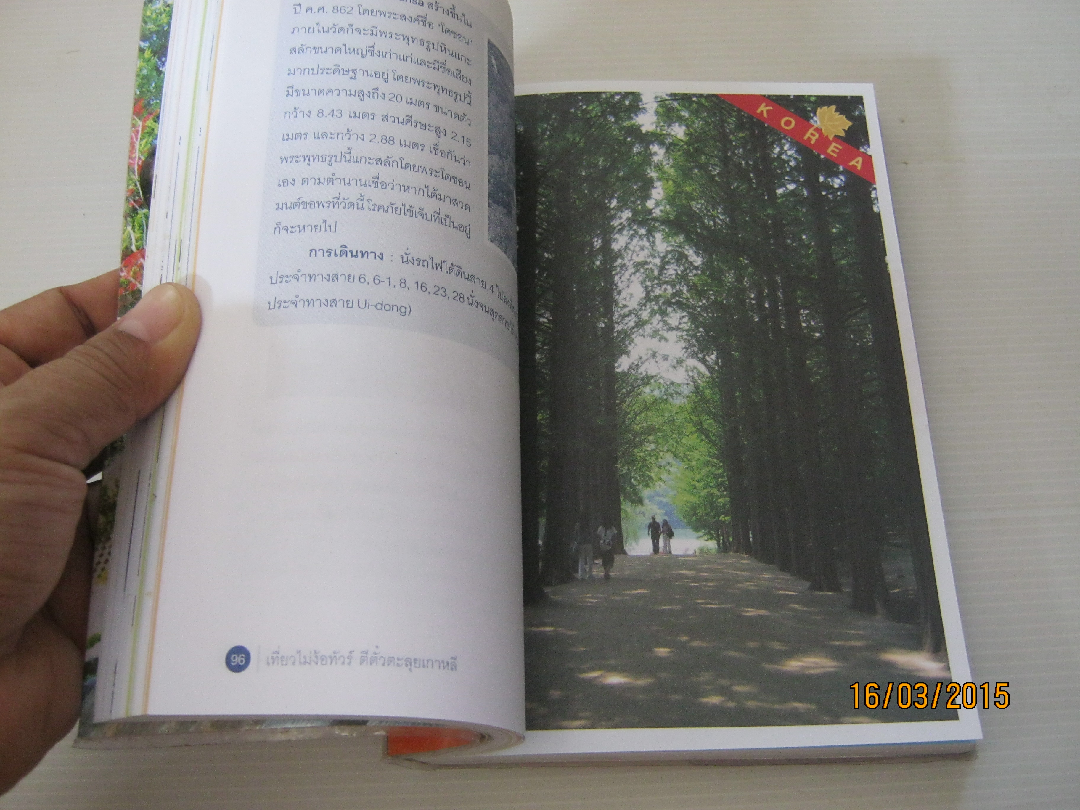 เที่ยวไม่ง้อทัวร์ ตีตั๋วตะลุยเกาหลี โดย นัท & ก้อย