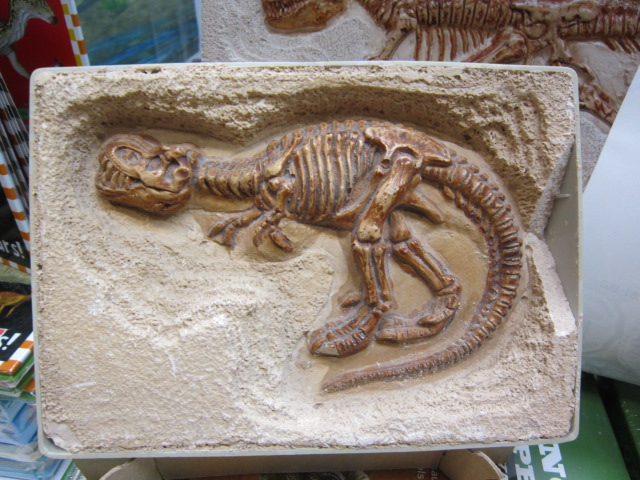 ชุดขุดฟอสซิลไดโนเสาร์(แบบแผ่นฟอสซิลตั้งโชว์) Expedition Excavation Kits