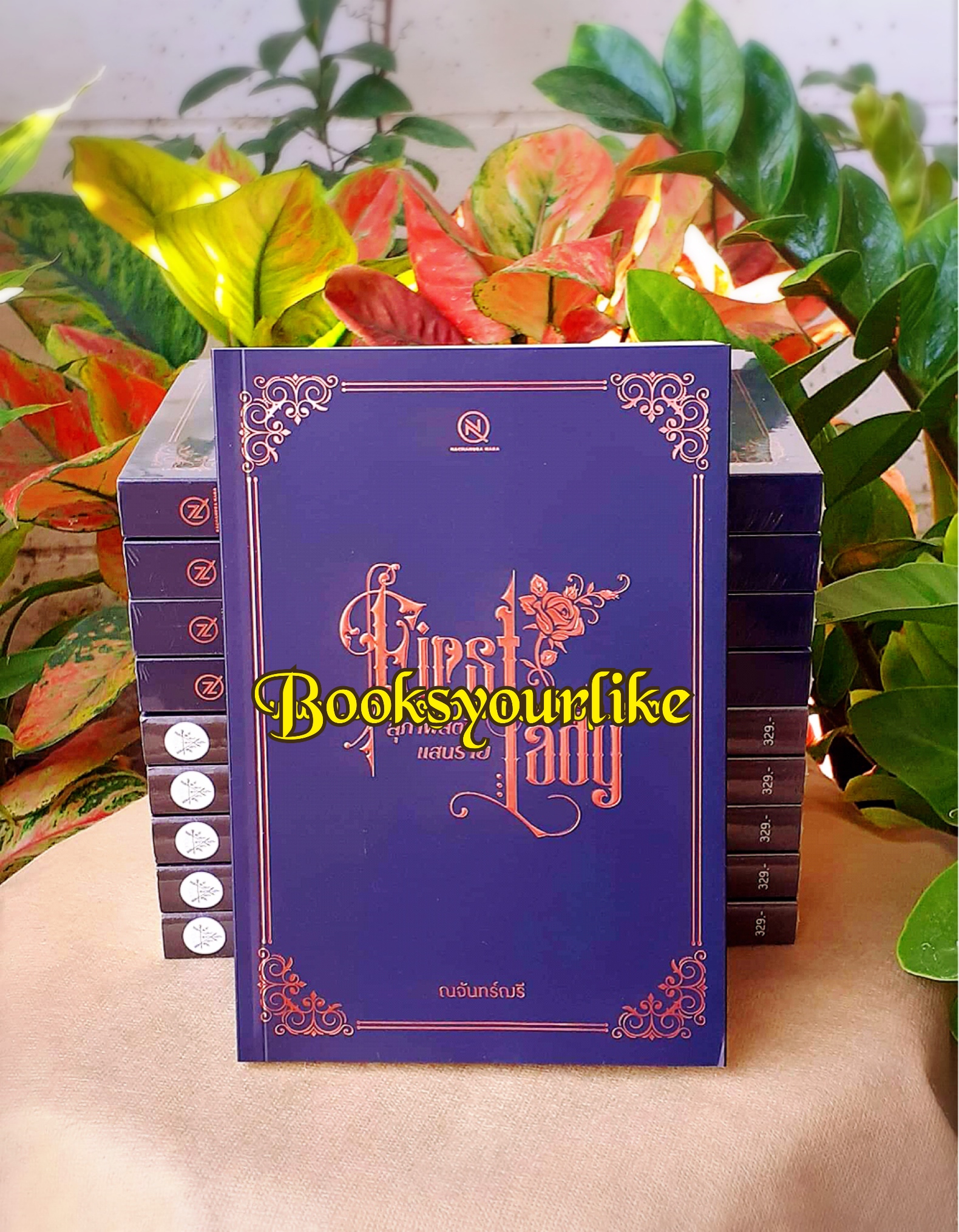 สุภาพสตรีแสนร้าย,ผู้แต่ง,ณจันทร์ฌรี,ฬีรดา ,นิยายทำมือ สนุกคะ