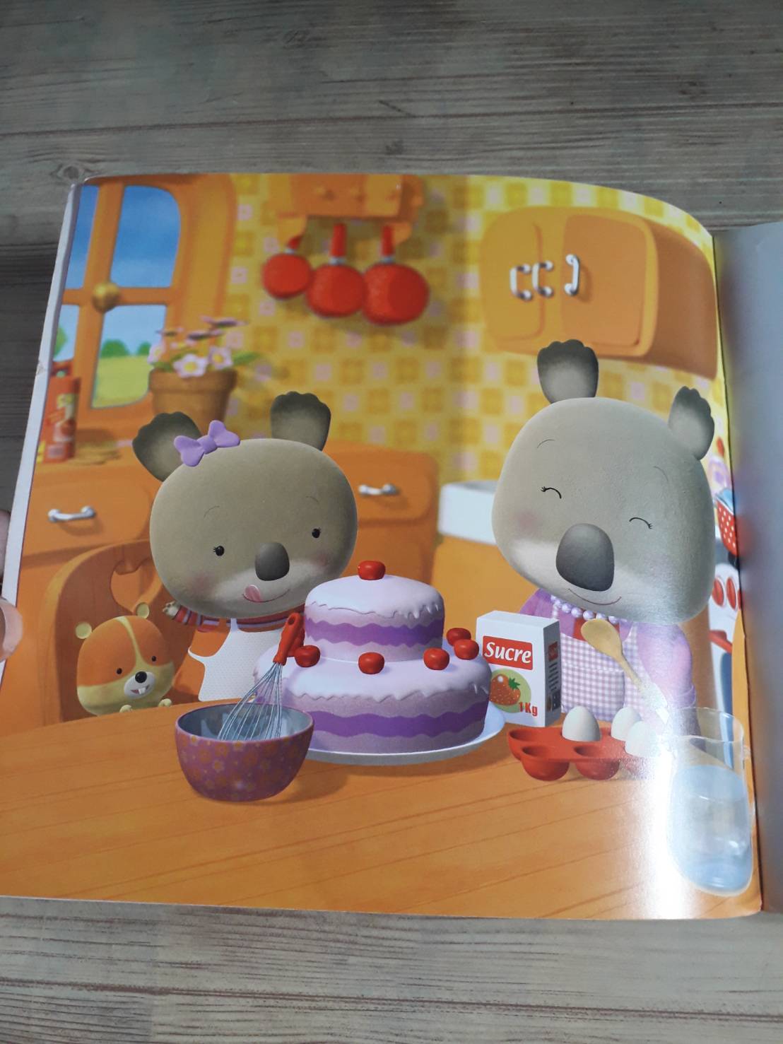 วันเกิดของหมีน้อยโคอาล่า นาร์เดีย แบร์คานและอเล็กซี เนสม์ เขียน