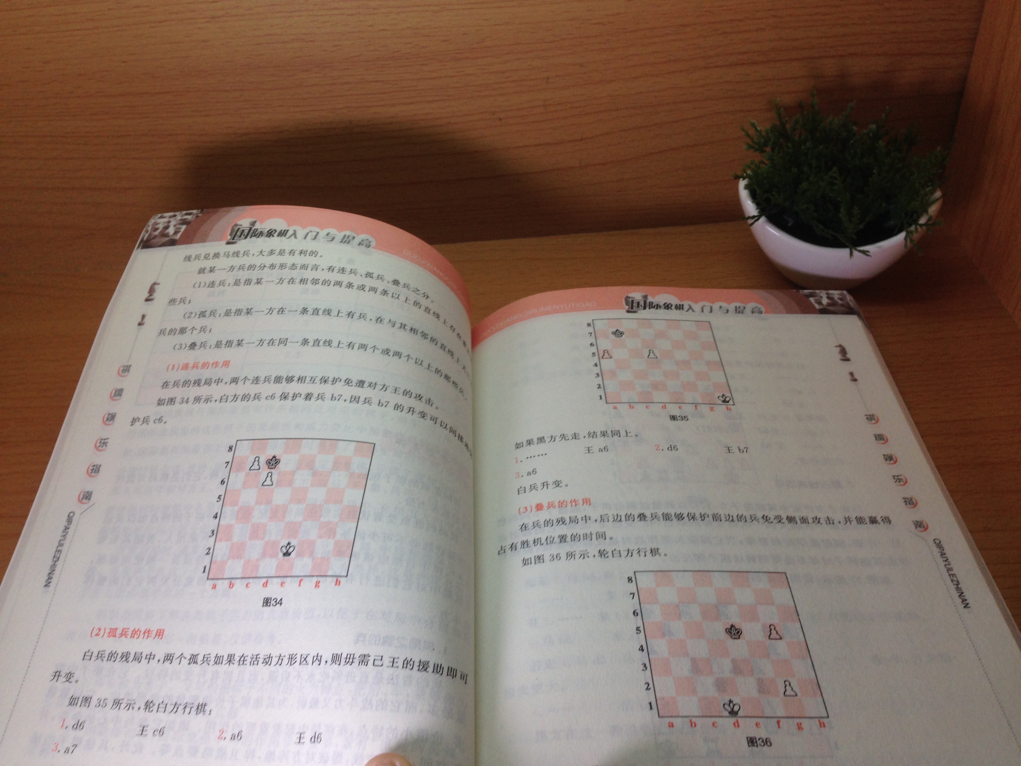 หนังสือหมากรุกสากลเบื้องต้น(ภาษาจีน)