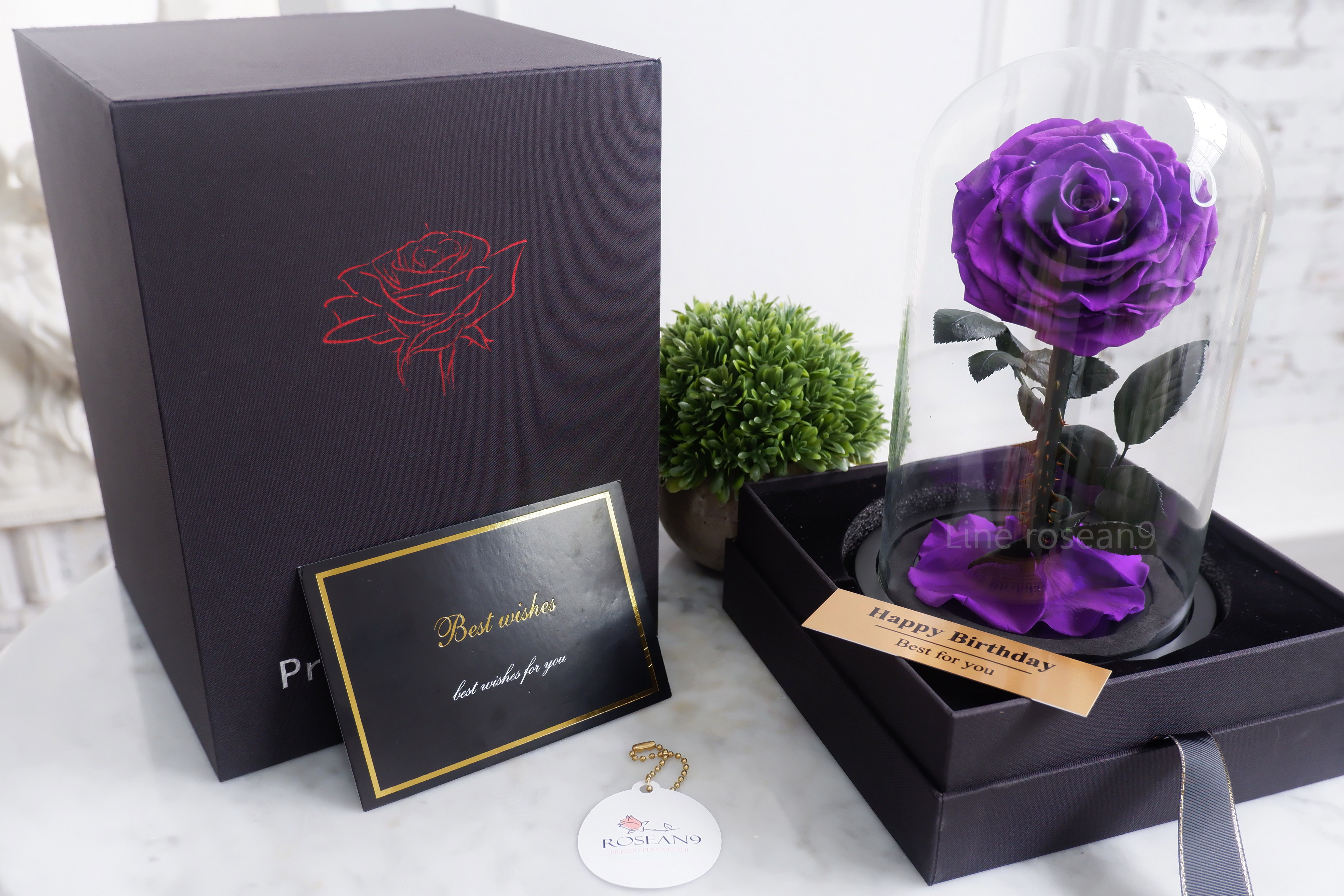 กุหลาบอมตะ กุหลาบในโหลแก้ว กุหลาบสีม่วง กุหลาบโฉมงามกับเจ้าชายอสูร