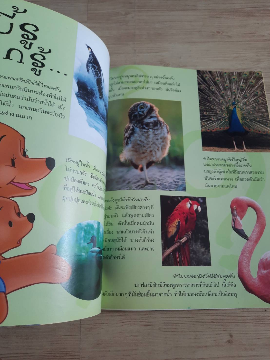 วินนีเดอะพูห์ เปิดโลกการเรียนรู้ นก ศุภวัลย์ ตันวรรณรักษ์ แปล