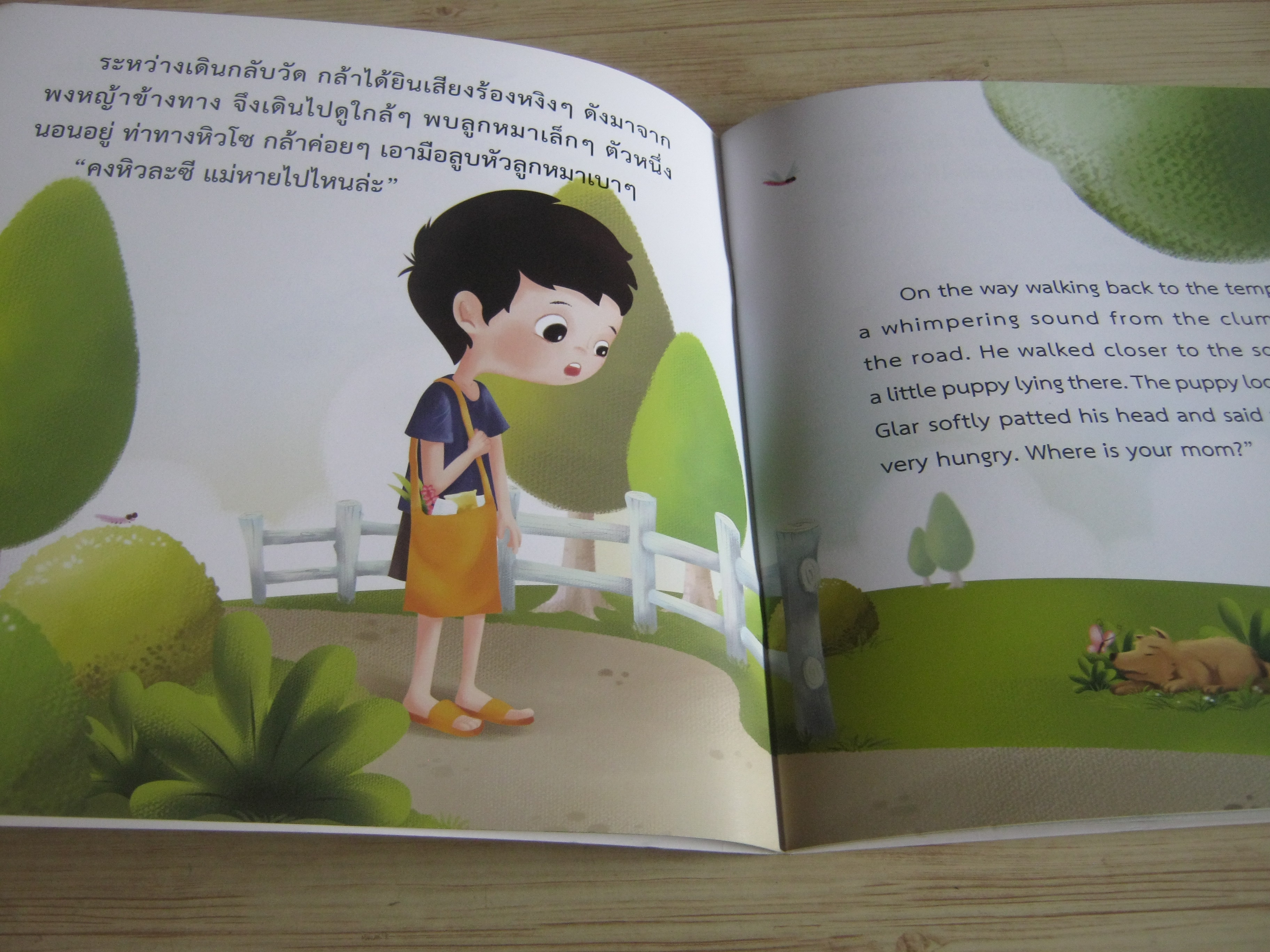 นิทานสองภาษา ไทย-อังกฤษ เจ้ากำพร้า หมาปากแหว่ง รองศาสตราจารย์กุลวรา ชูพงศ์ไพโรจน์ เรื่อง ขงเบ้ง ภาพ ศกุนตลา ลัคนศิยานนท์ แมคแคฟเฟอรี่ แปล